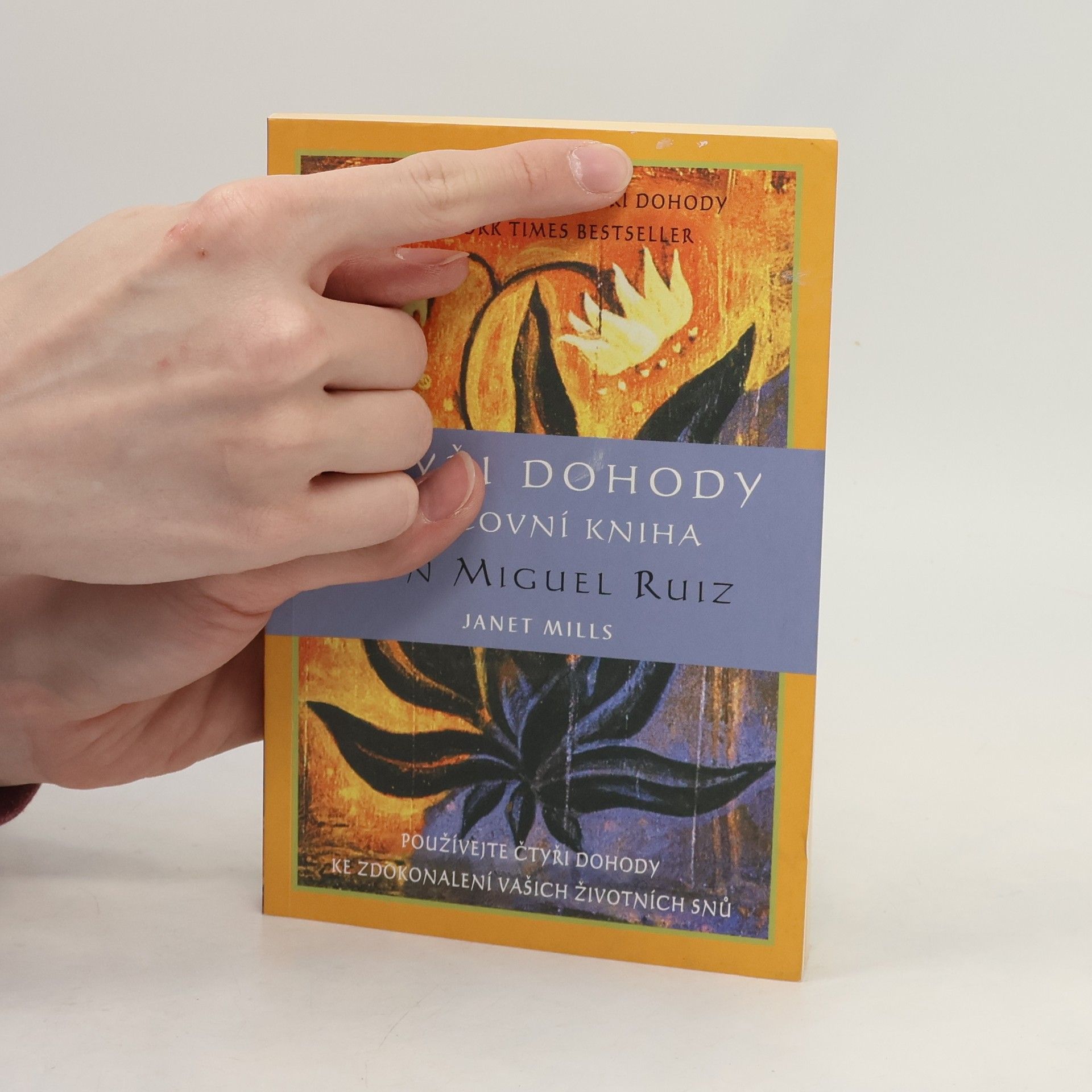 Don Miguel Ruiz Čtyři dohody. Pracovní kniha