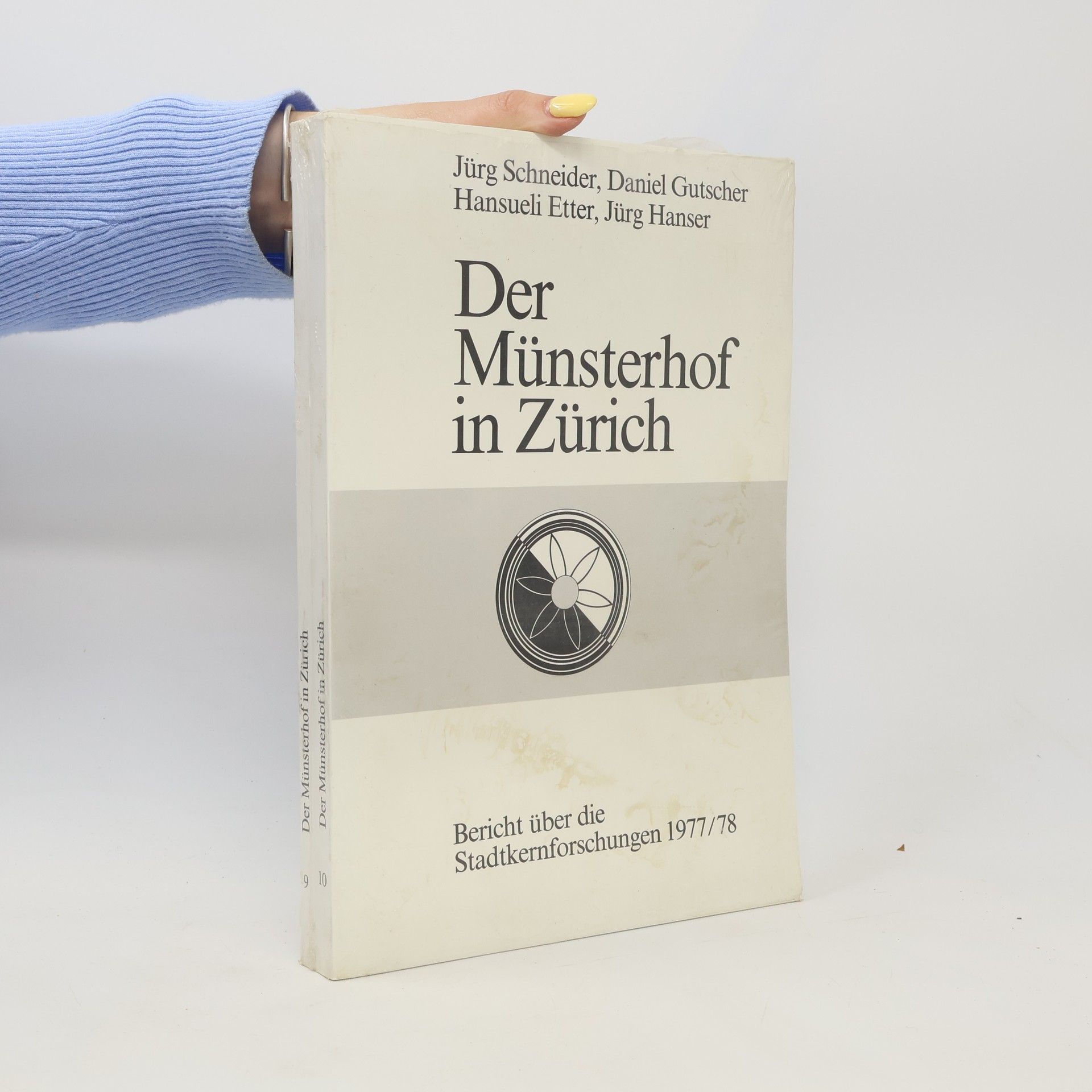AA.VV. Der Münsterhof in Zürich