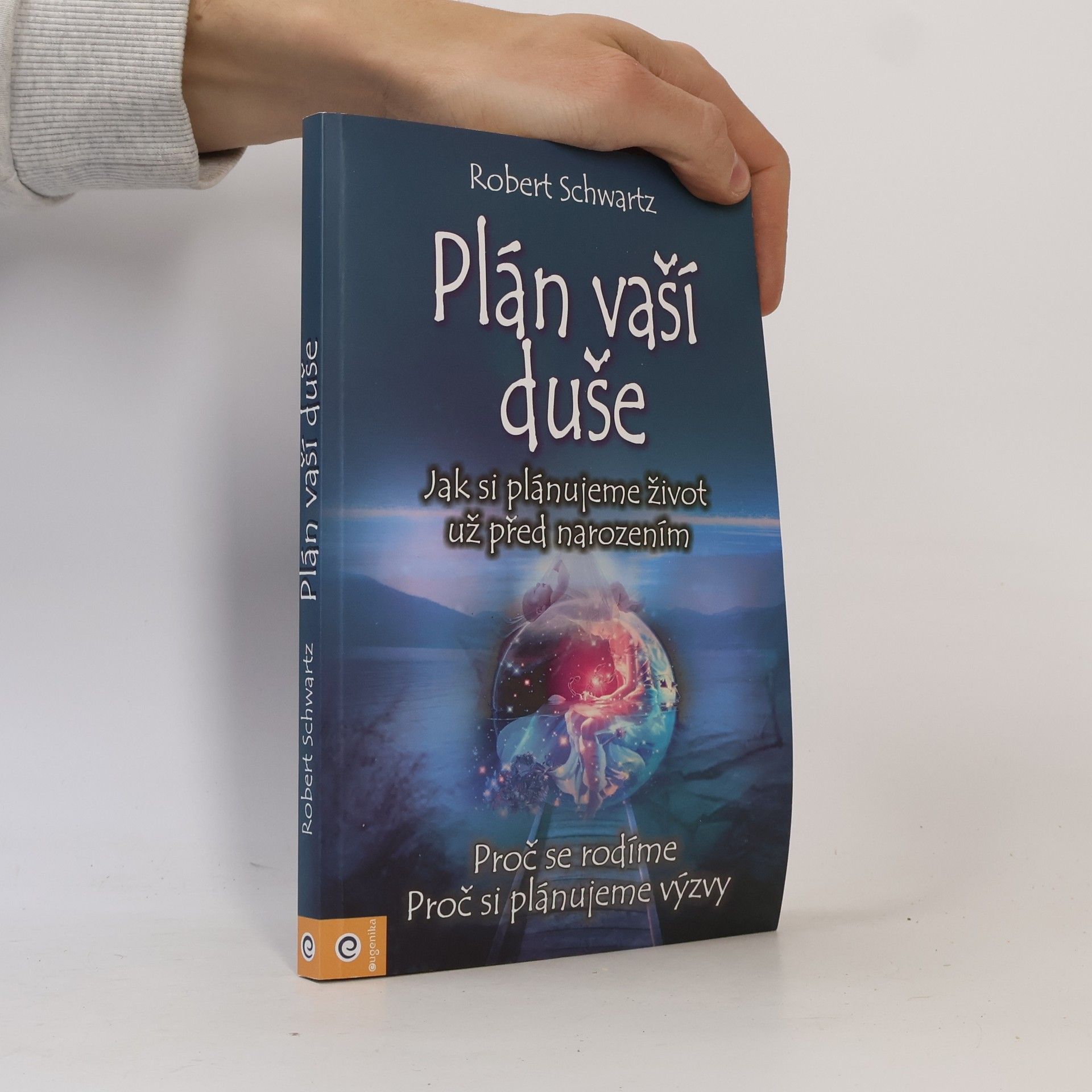 Zuzana Šestáková Plán vaší duše. Jak si plánujeme život už před narozením