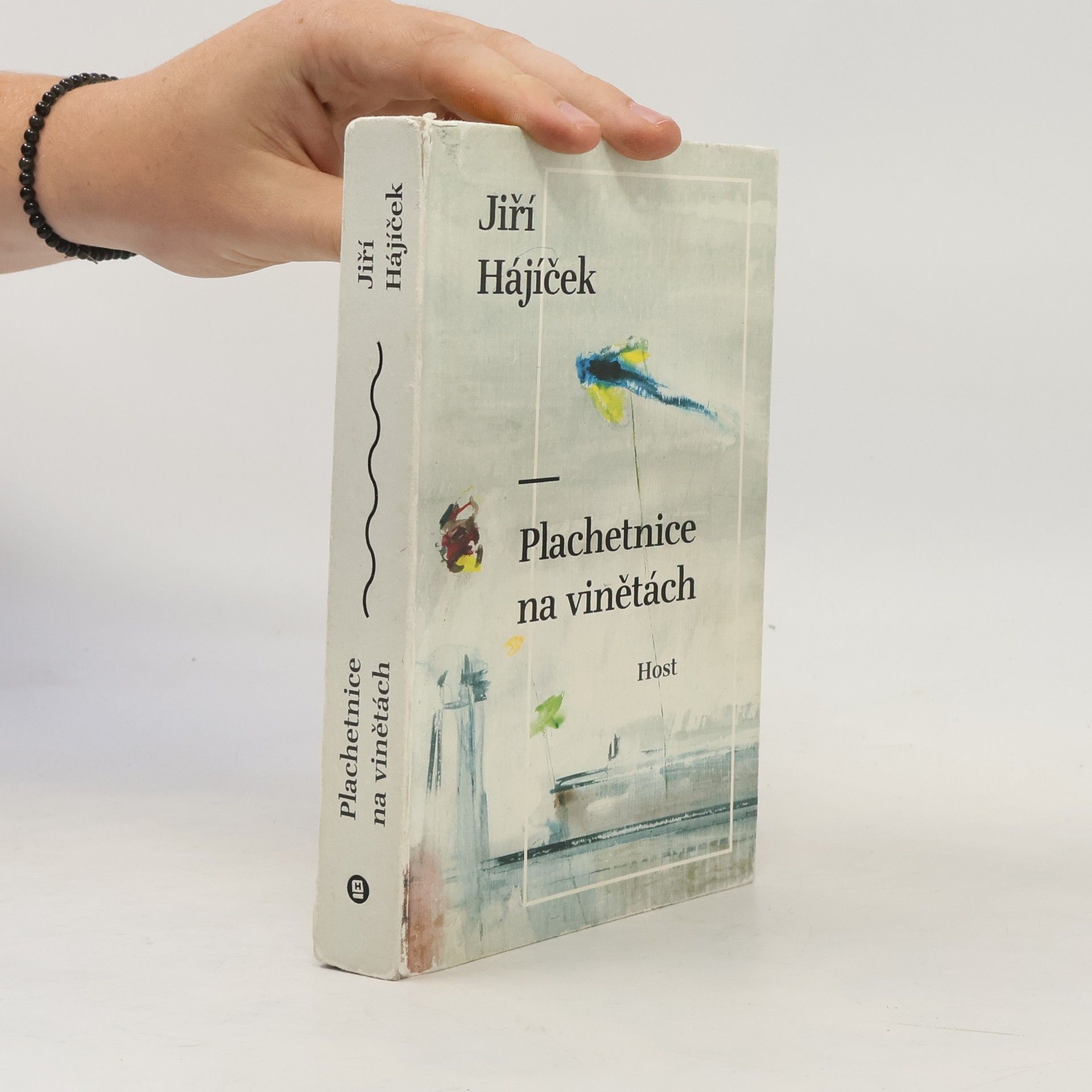 Jiří Hájíček Plachetnice na vinětách