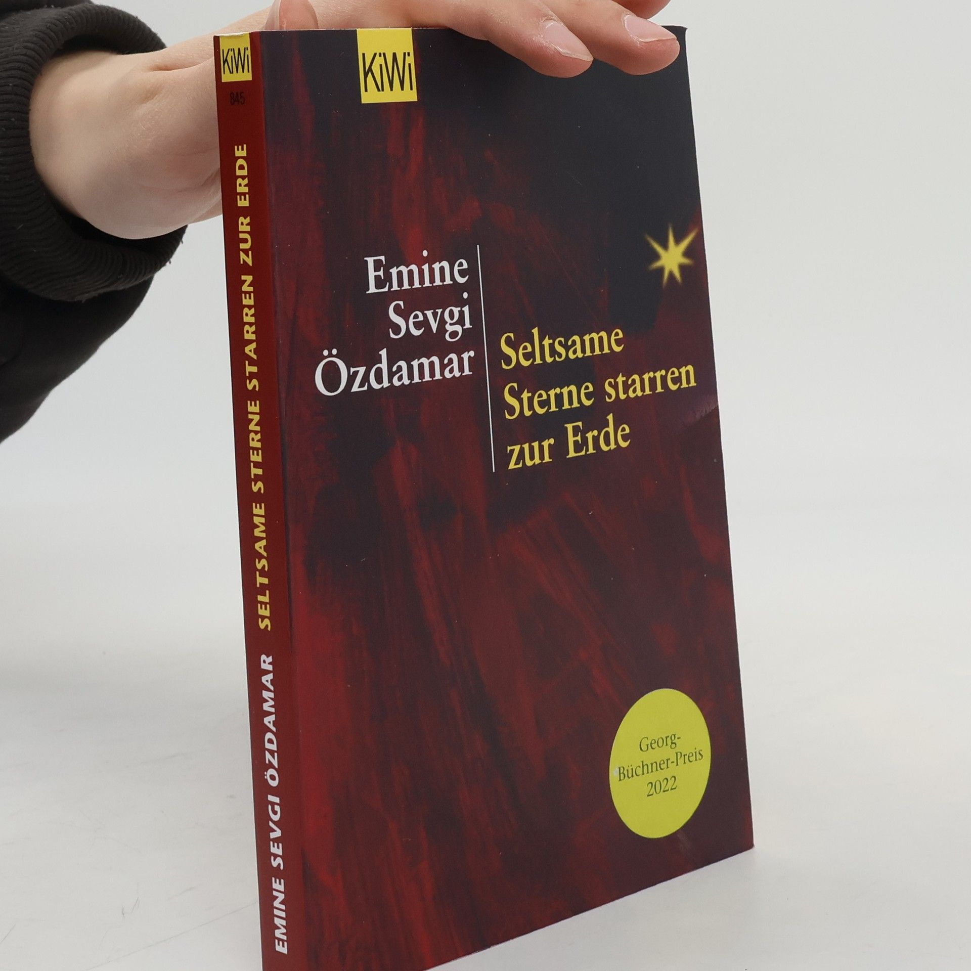 Emine Sevgi Özdamar Seltsame Sterne starren zur Erde
