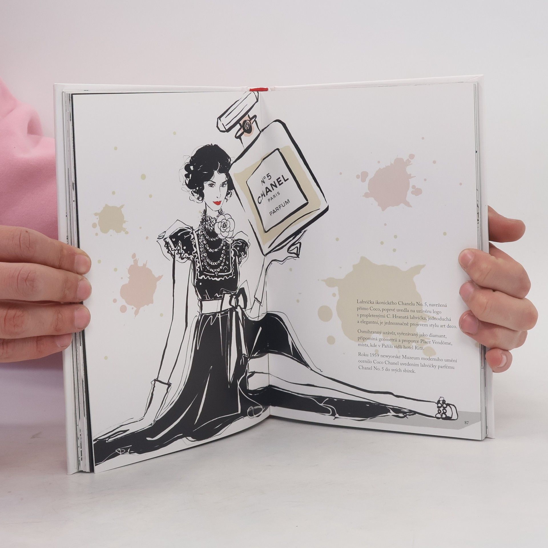 Megan Hess Coco Chanel: Ilustrovaný svět módní ikony