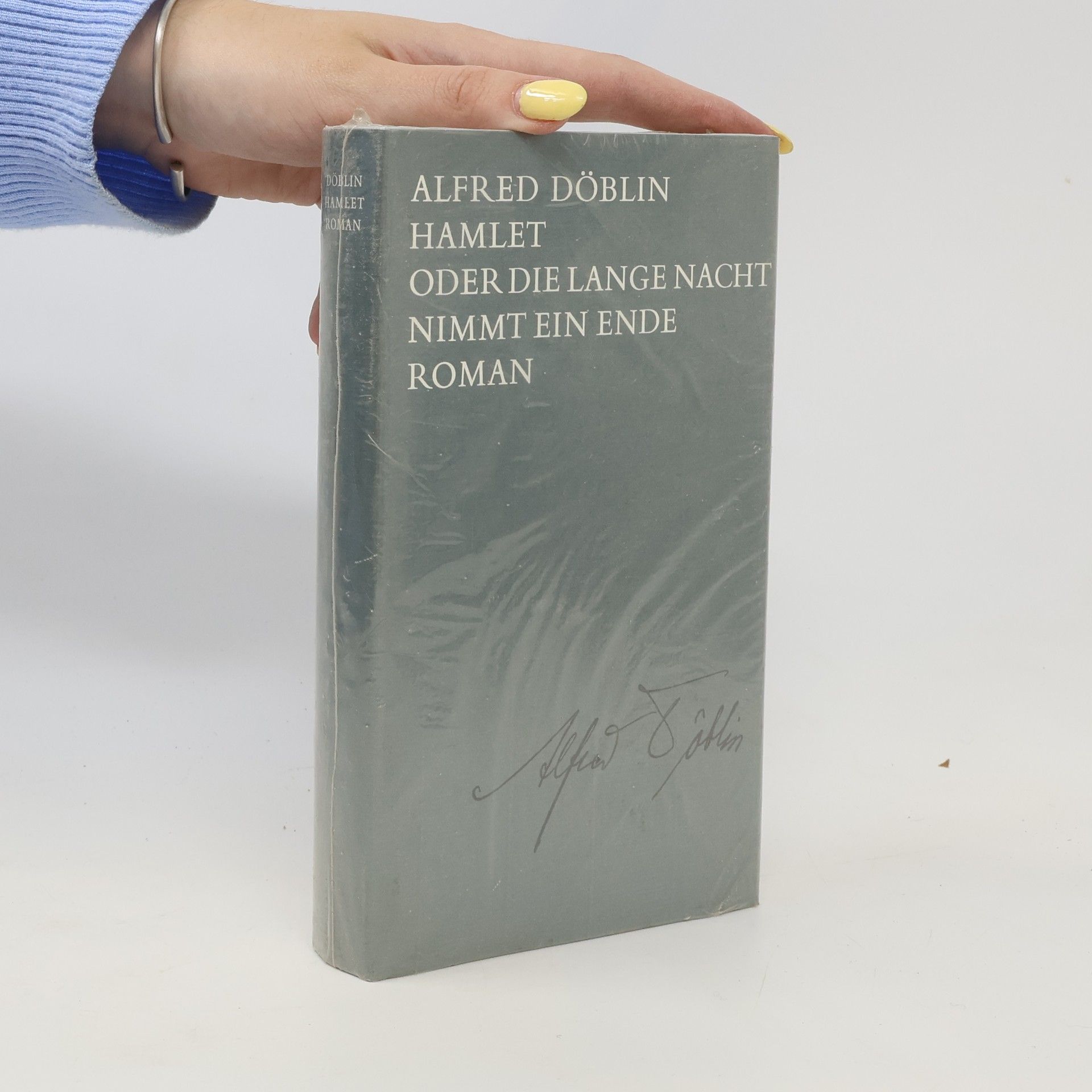 Alfred Döblin Hamlet oder die lange Nacht nimmt ein Ende