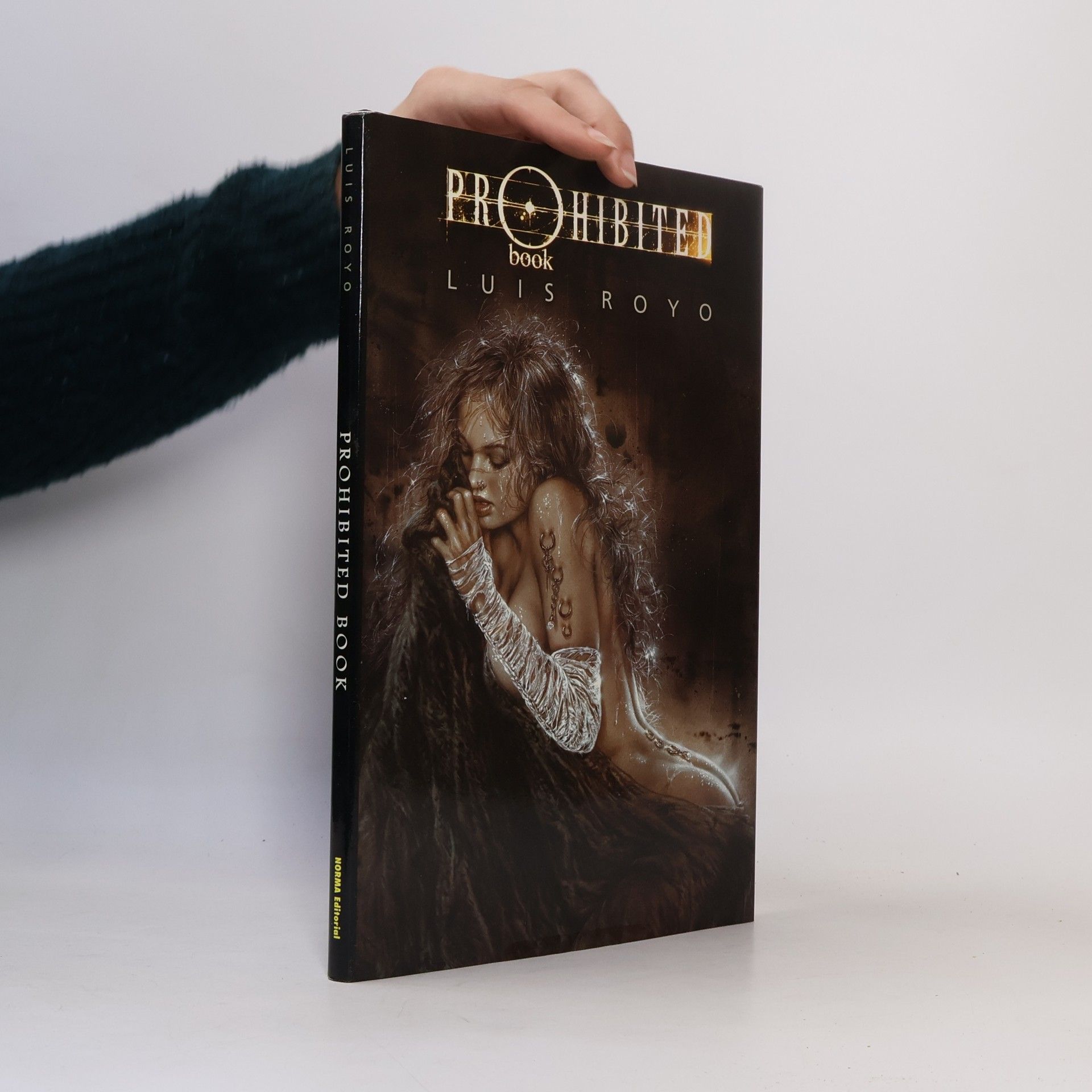 Luis Royo Prohibited book