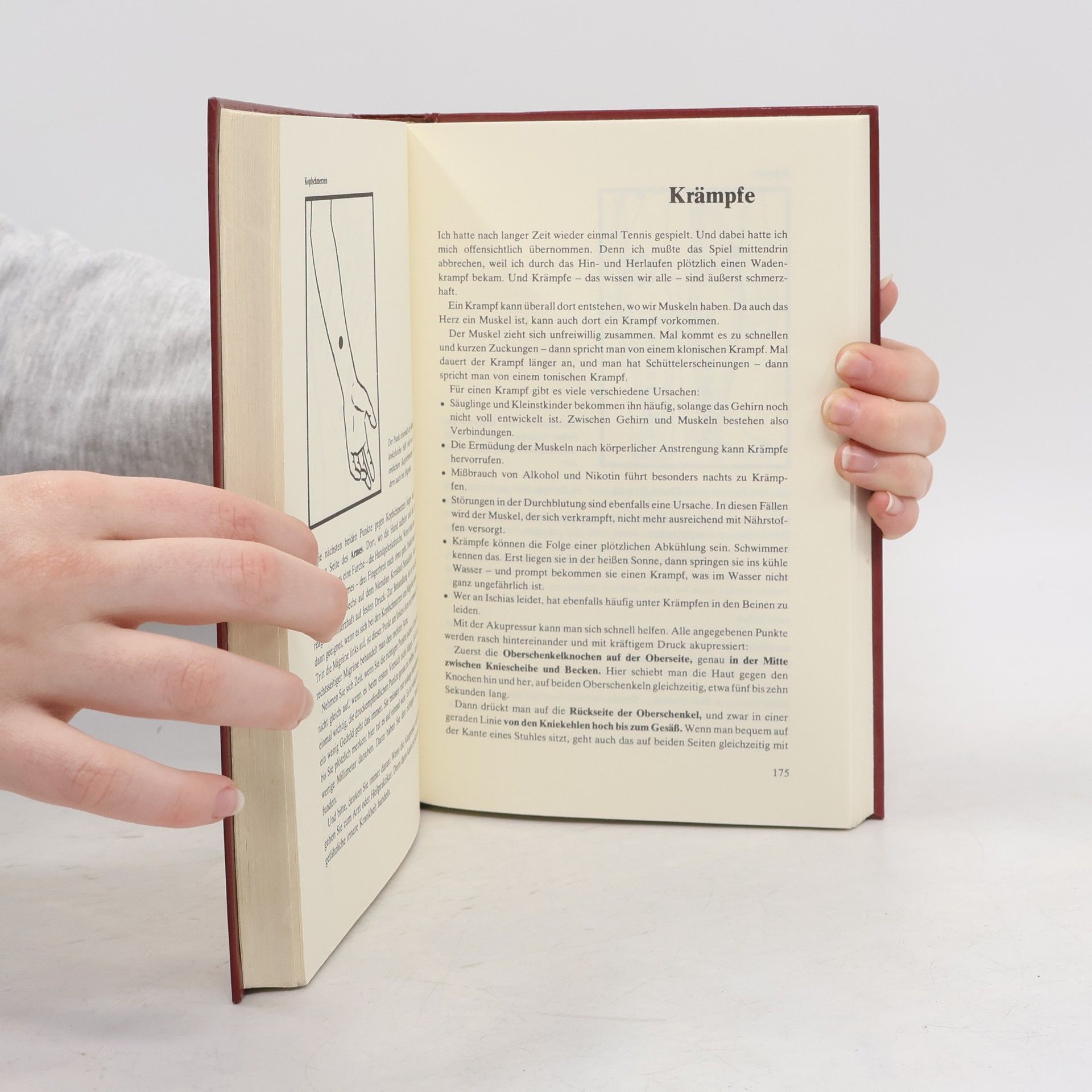 Autorenkollektiv Das Große Akupressur Buch. Schmerzfrei ohne Tabletten
