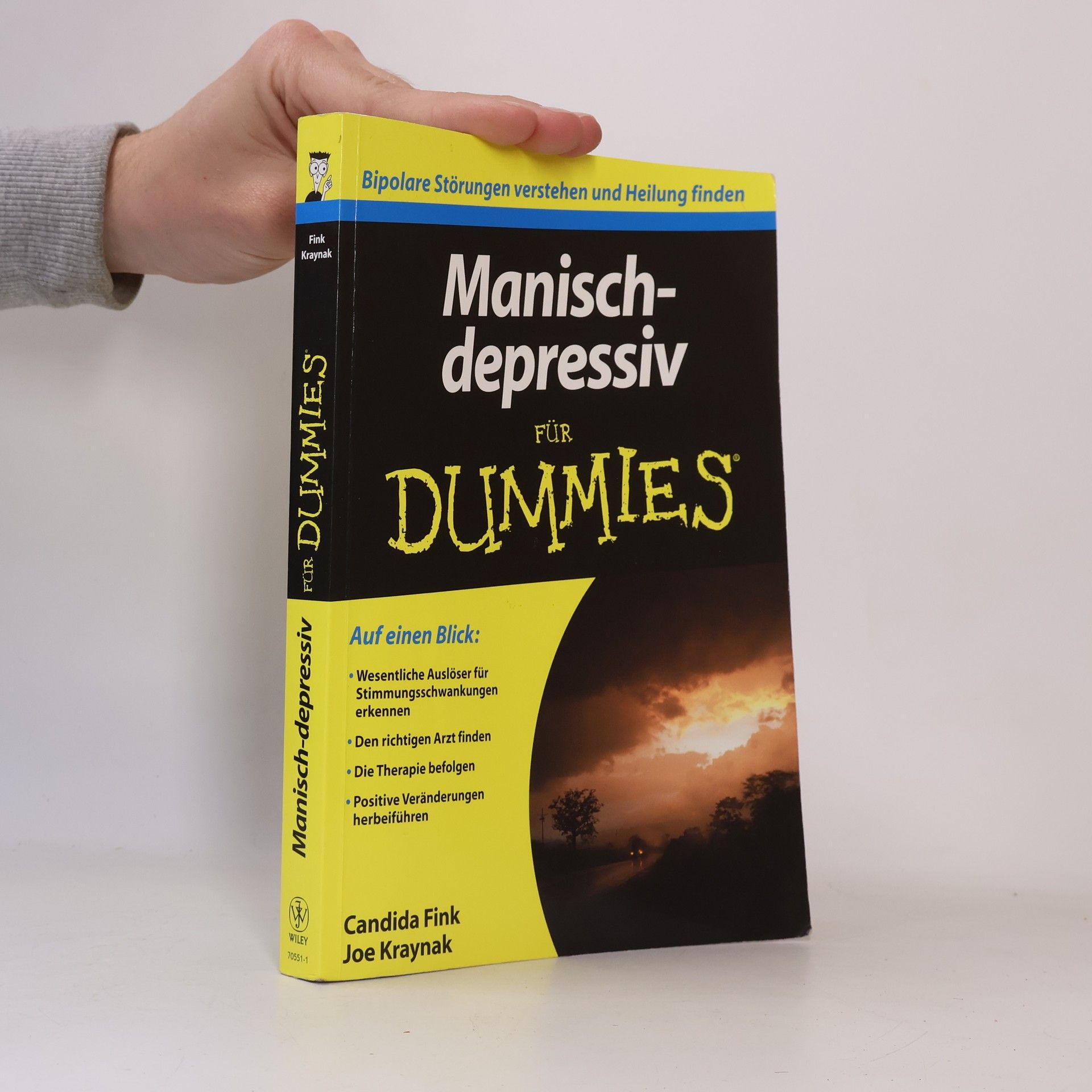 Hartmut Strahl Manisch-depressiv für Dummies