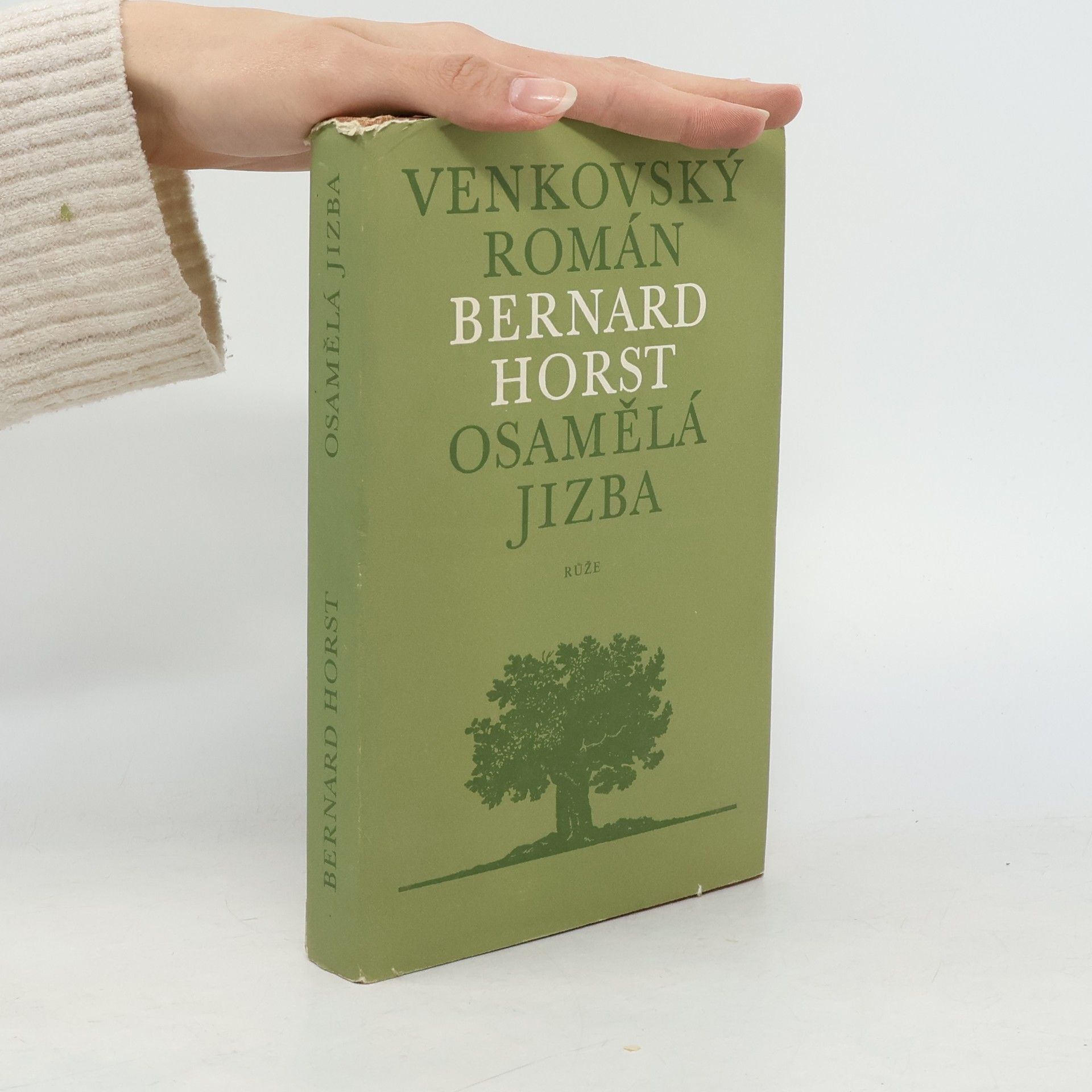 Bernard Horst Osamělá jizba
