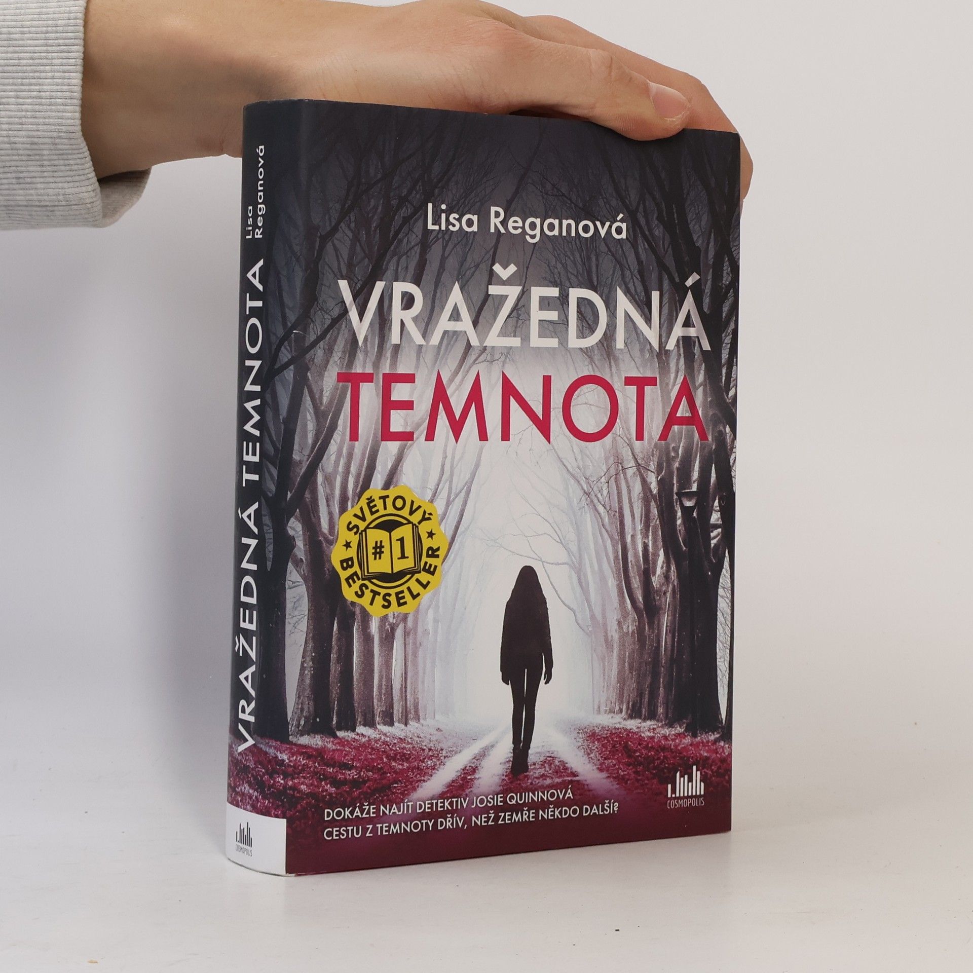 Lisa Regan Vražedná temnota