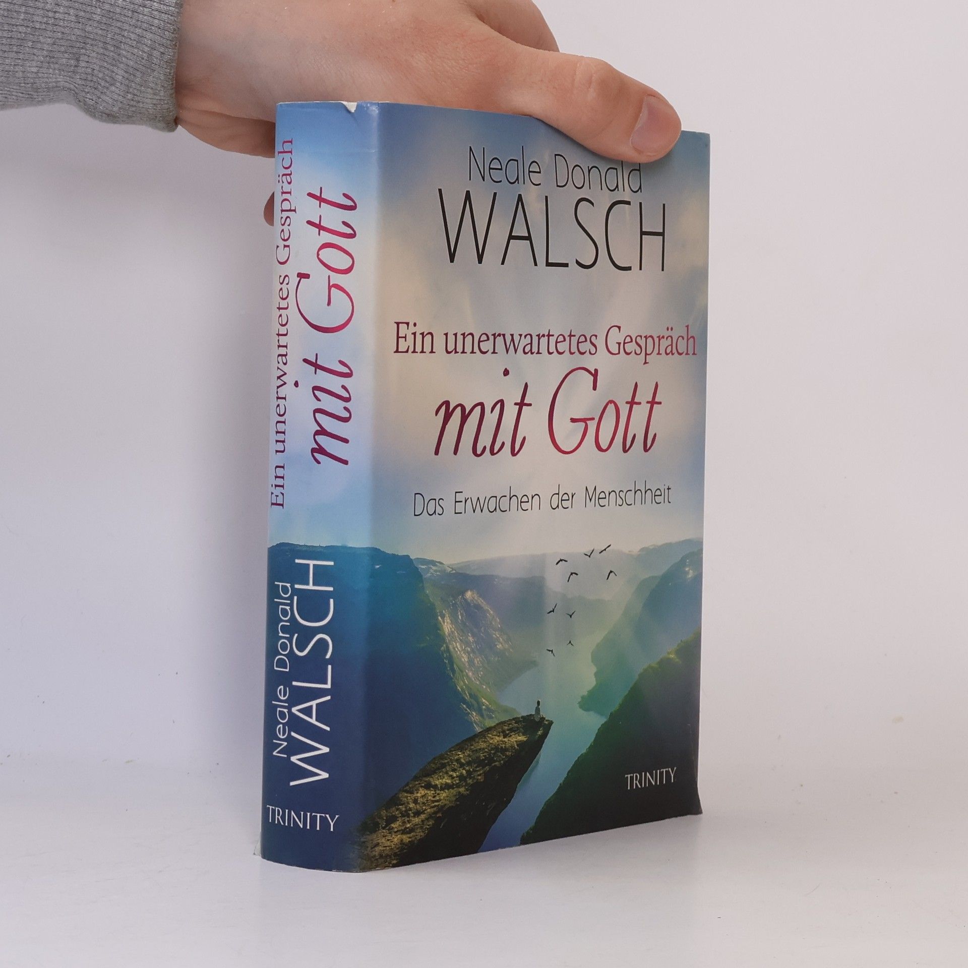 Neale Donald Walsch Ein unerwartetes Gespräch mit Gott