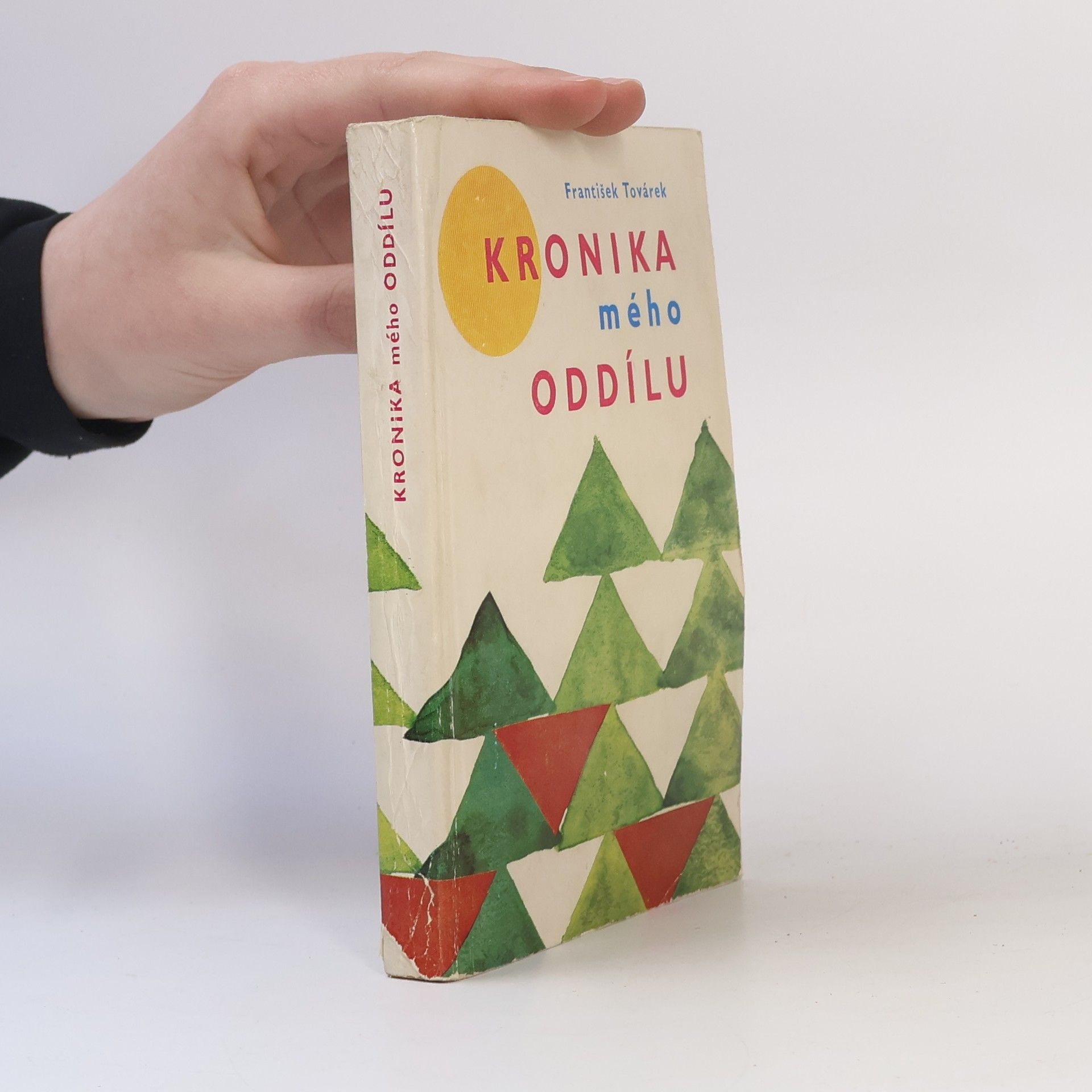 Kronika mého oddílu