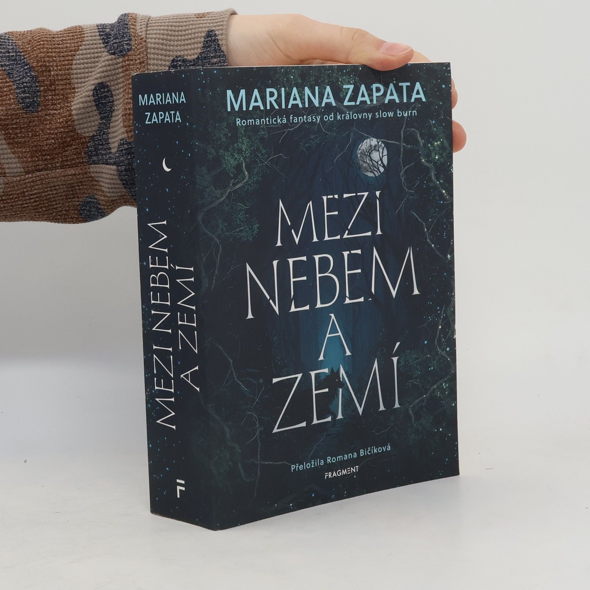 Mezi nebem a zemí