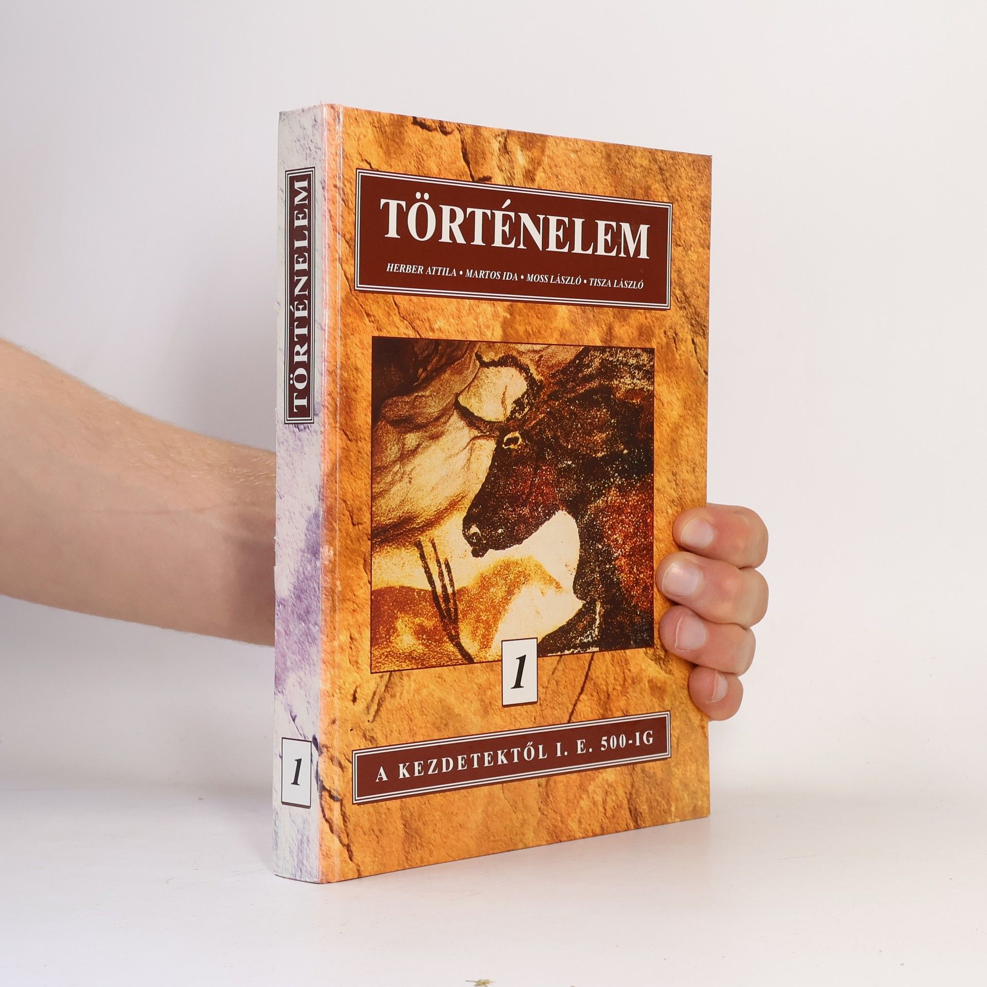 Ida Martos Történelem