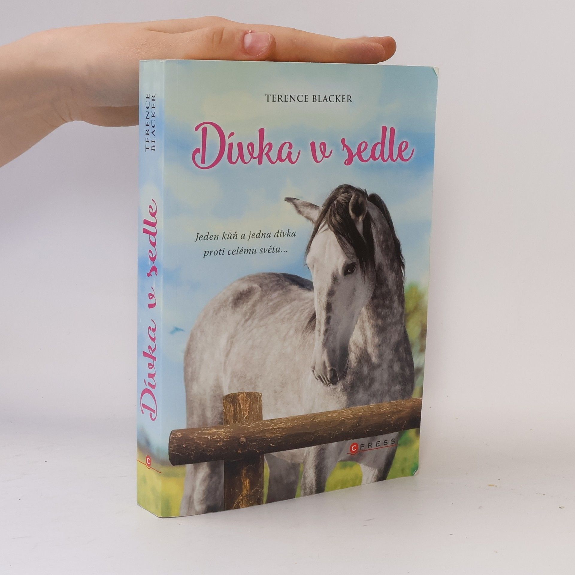 Terence Blacker Dívka v sedle