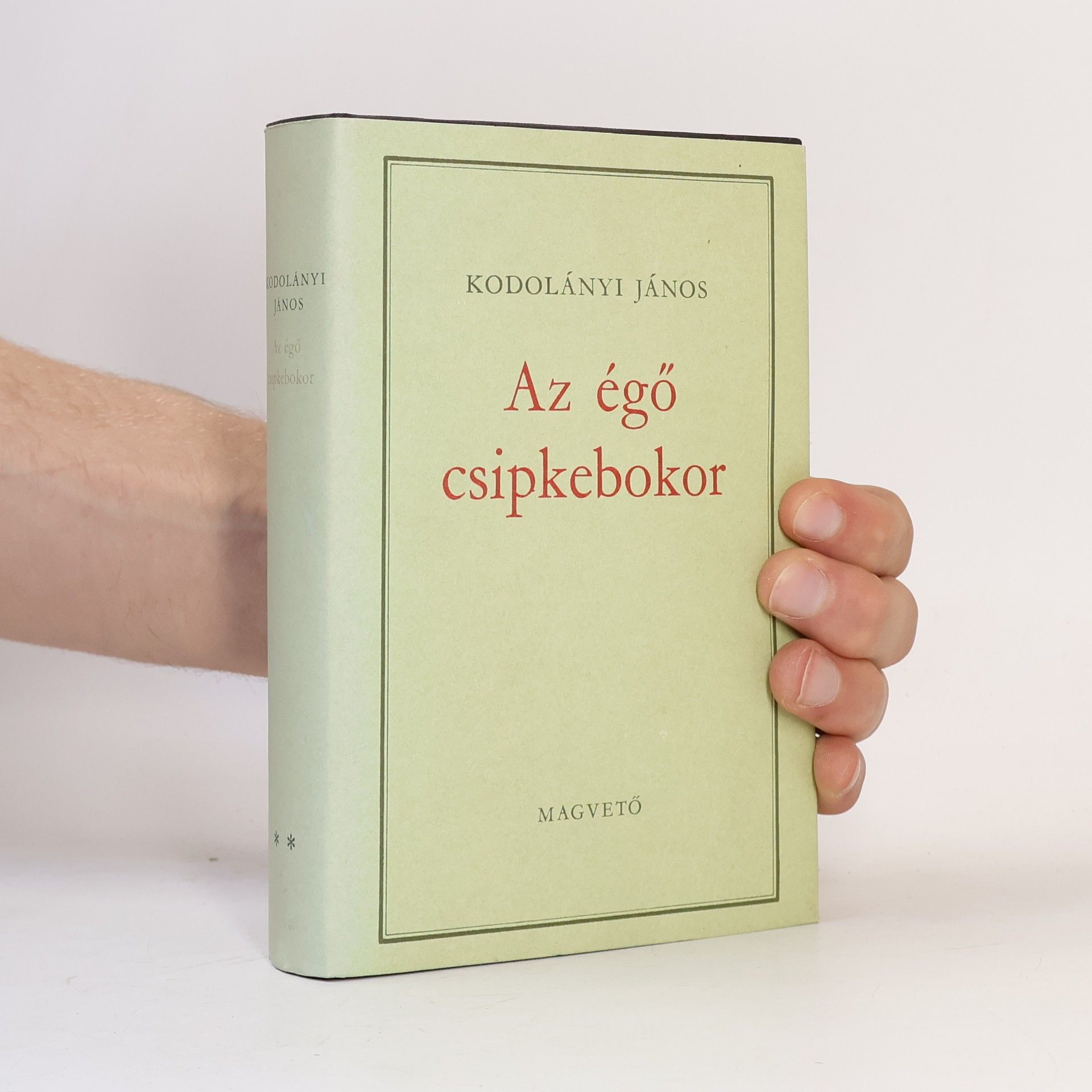 János Kodolányi Az égő csipkebokor 2