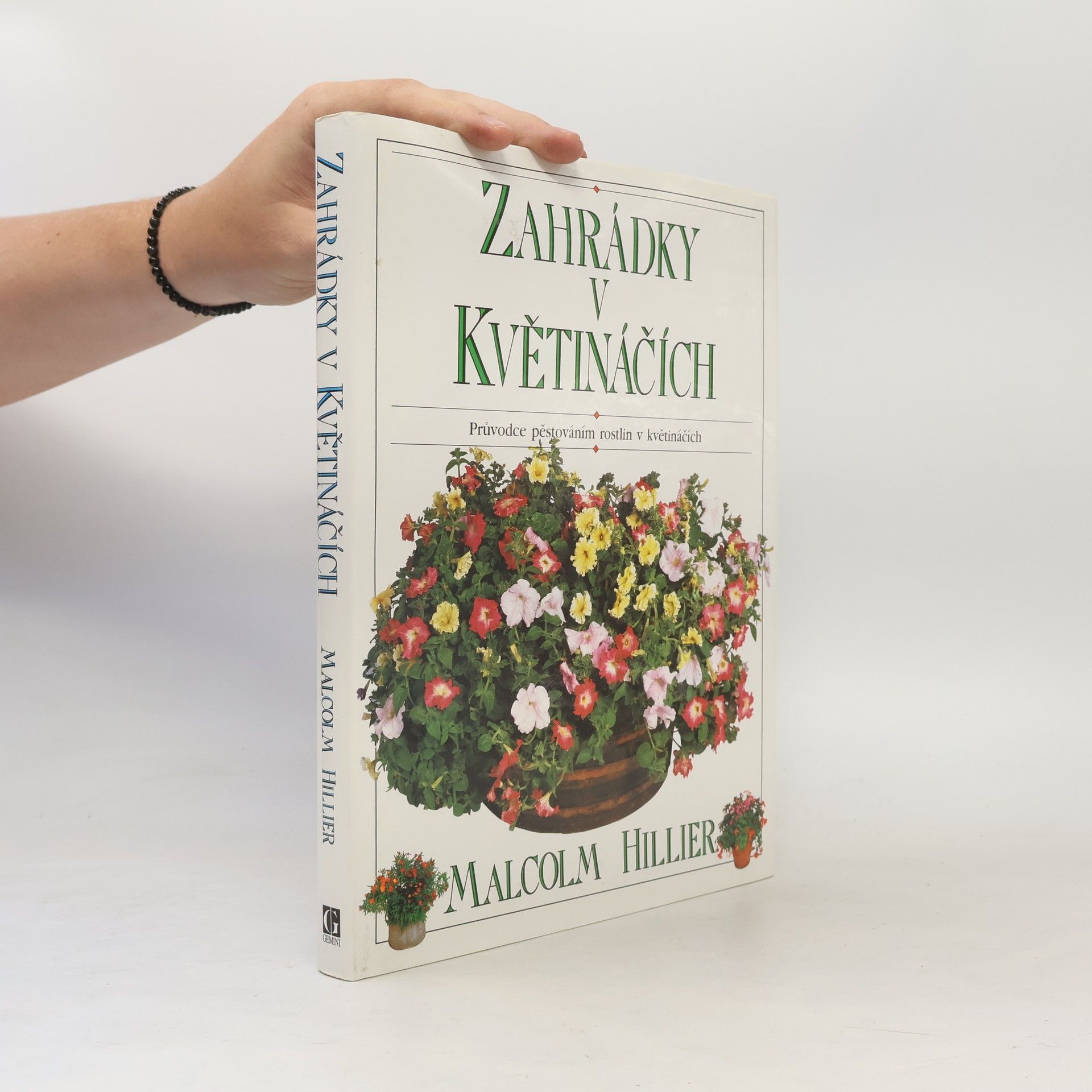 Zahrádky v květináčích