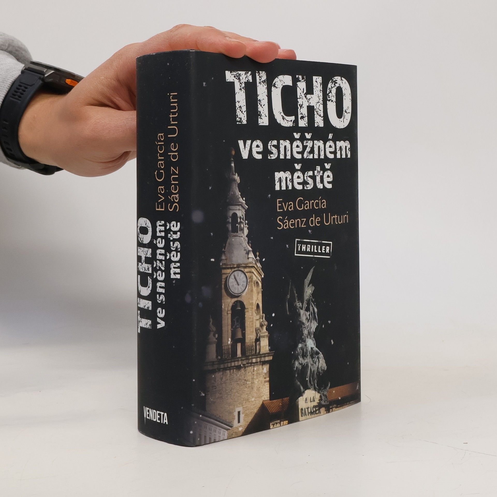 Eva García Sáenz de Urturi Ticho ve sněžném městě