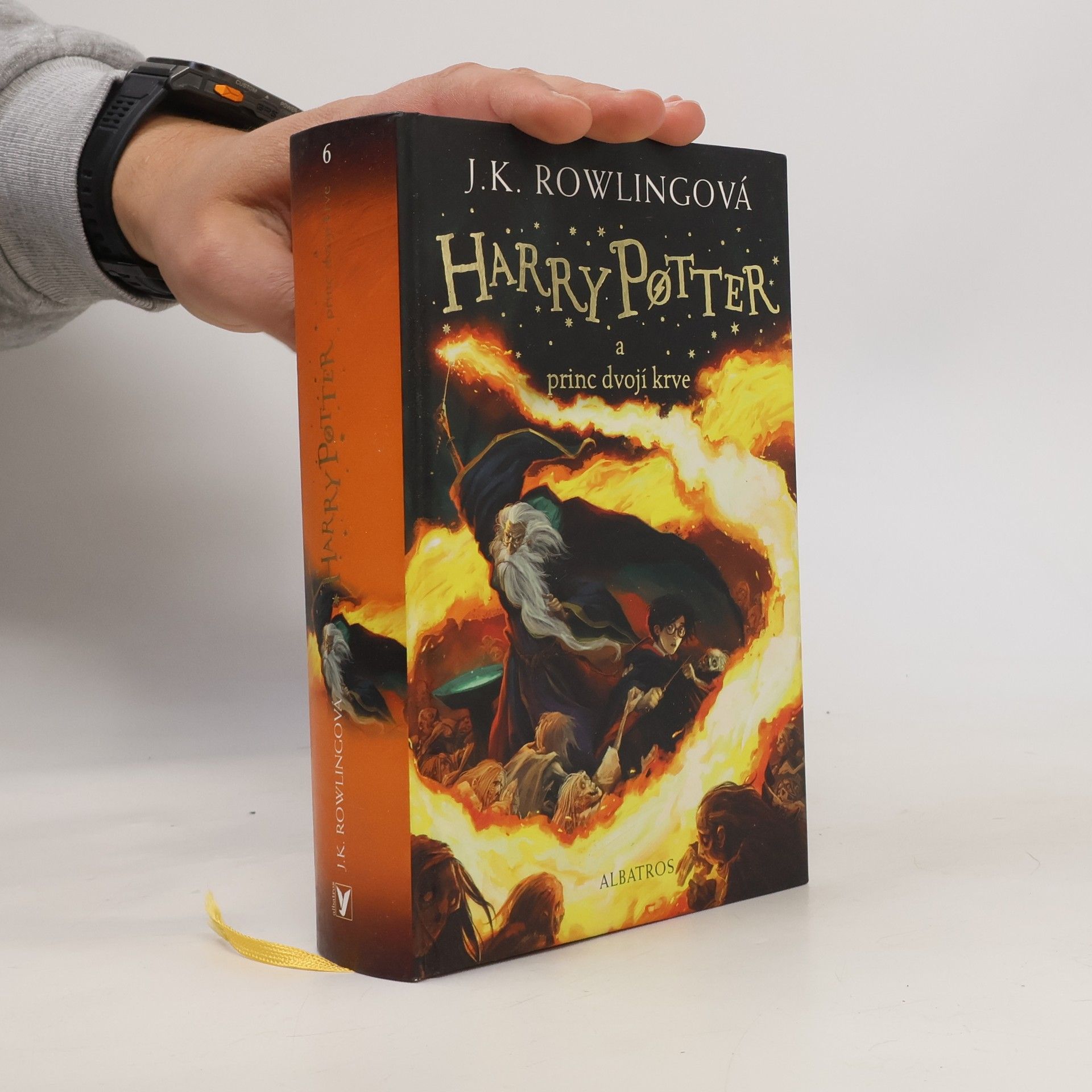 Harry Potter a princ dvojí krve