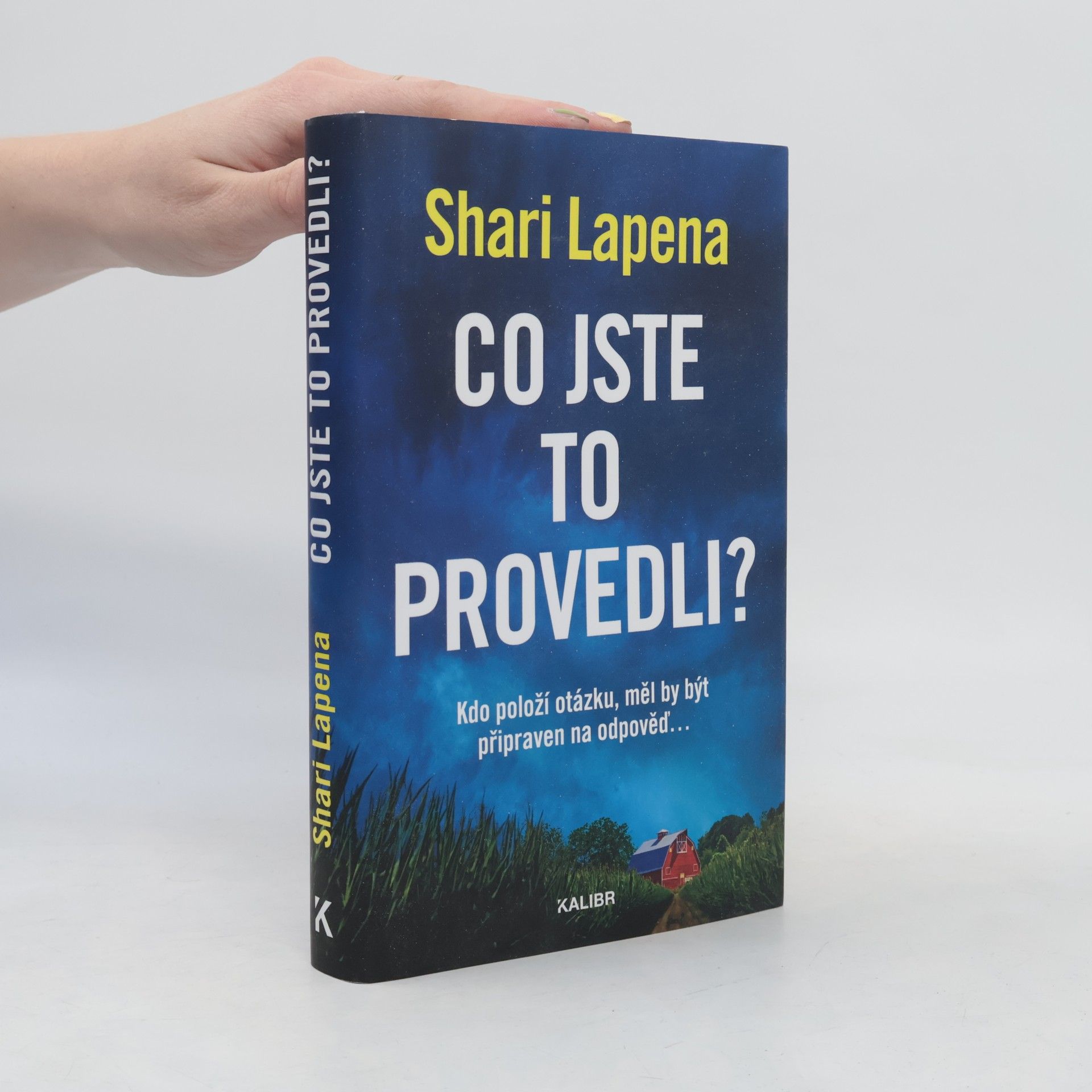 Shari Lapena Co jste to provedli?