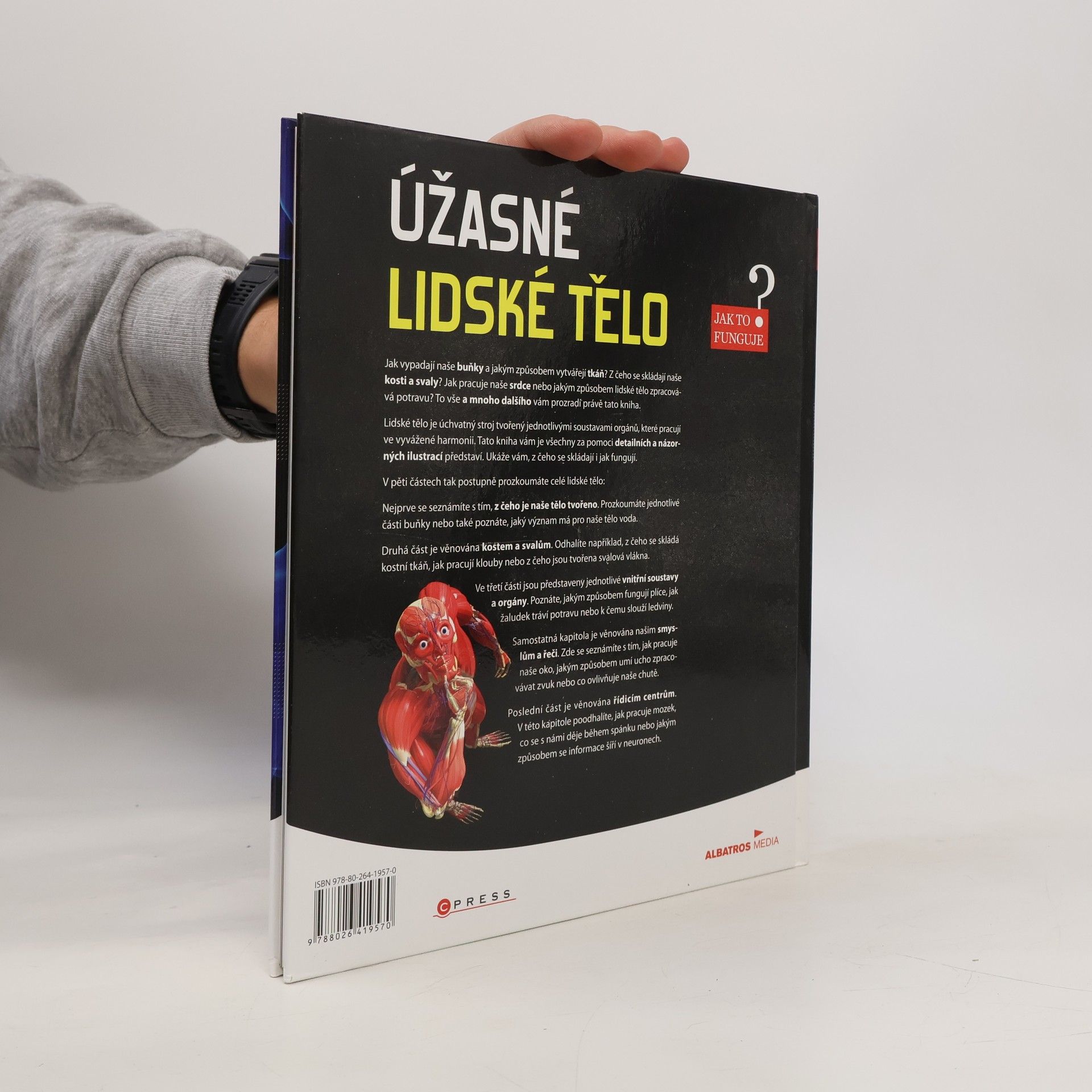 Autores varios Úžasné lidské tělo - Jak to funguje?