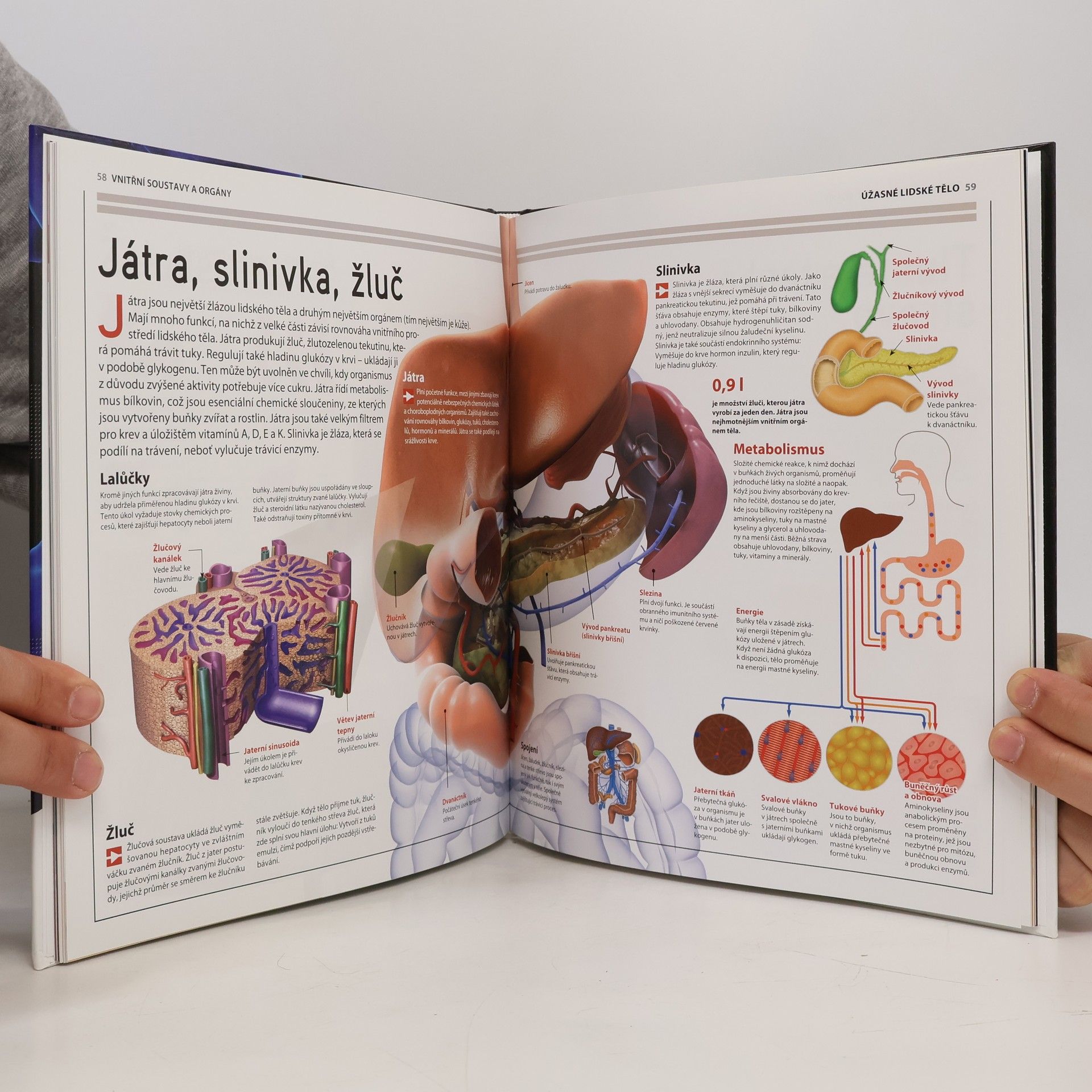 Autores varios Úžasné lidské tělo - Jak to funguje?