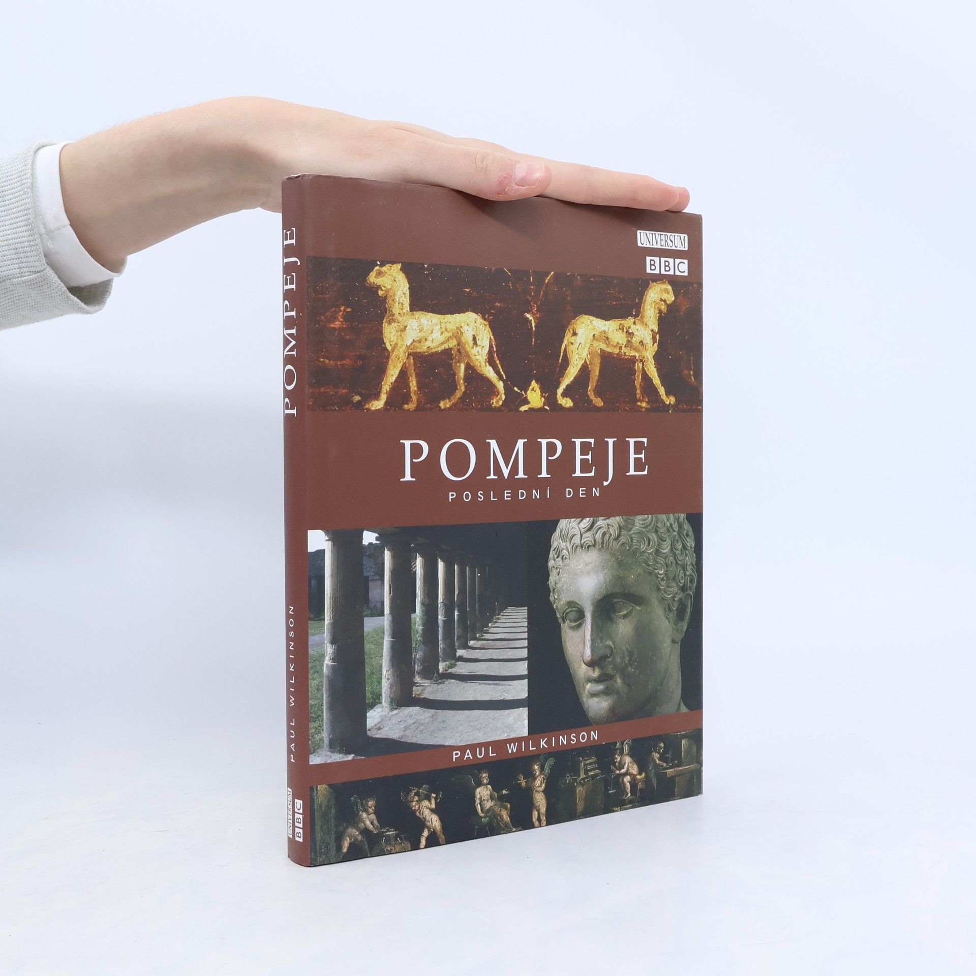 Paul Wilkinson Pompeje: poslední den