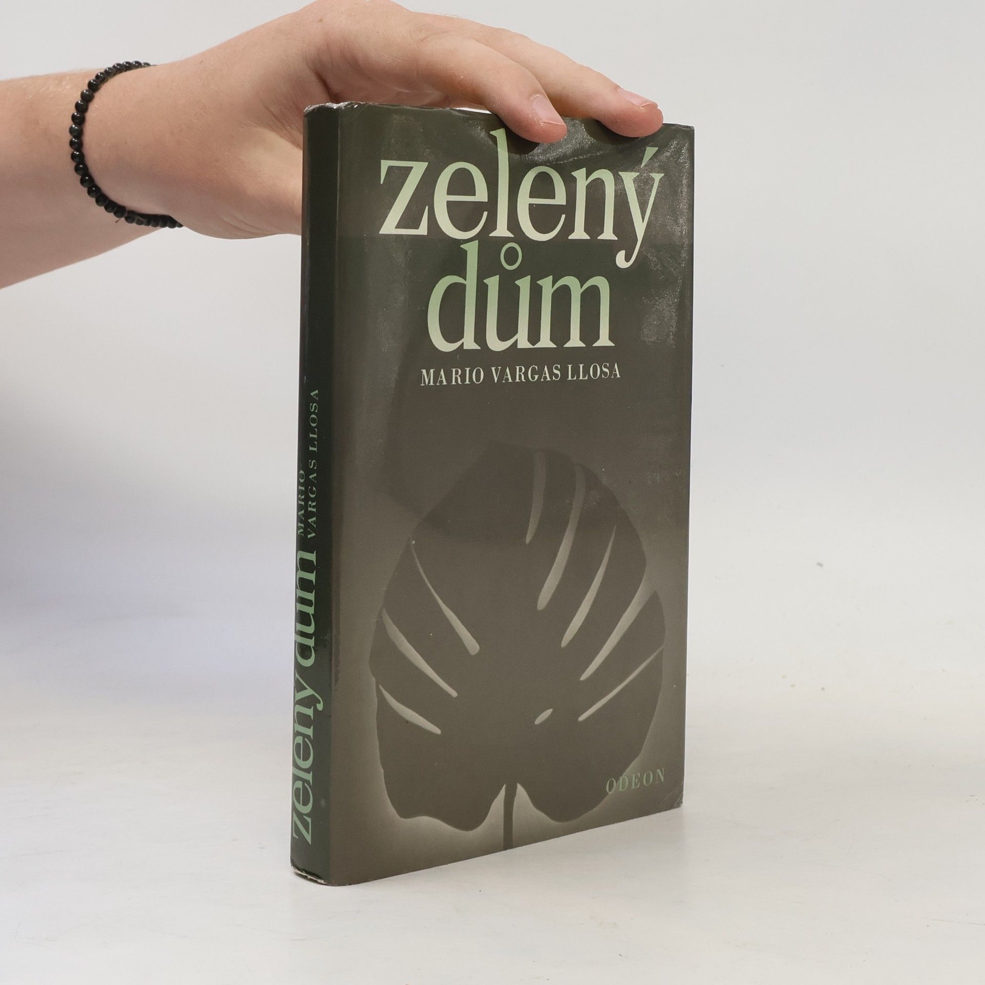Mario Vargas Llosa Zelený dům