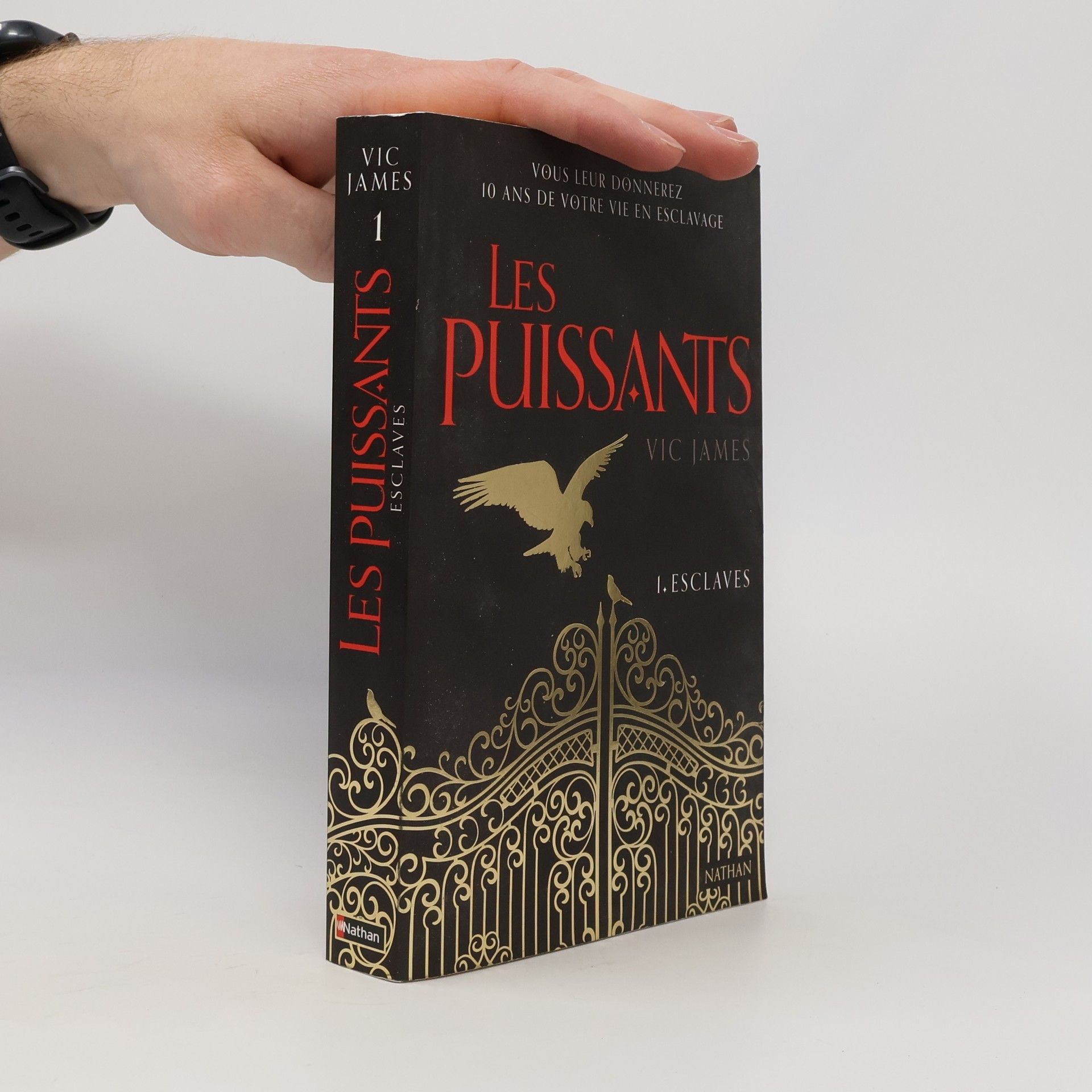 Les puissants 1