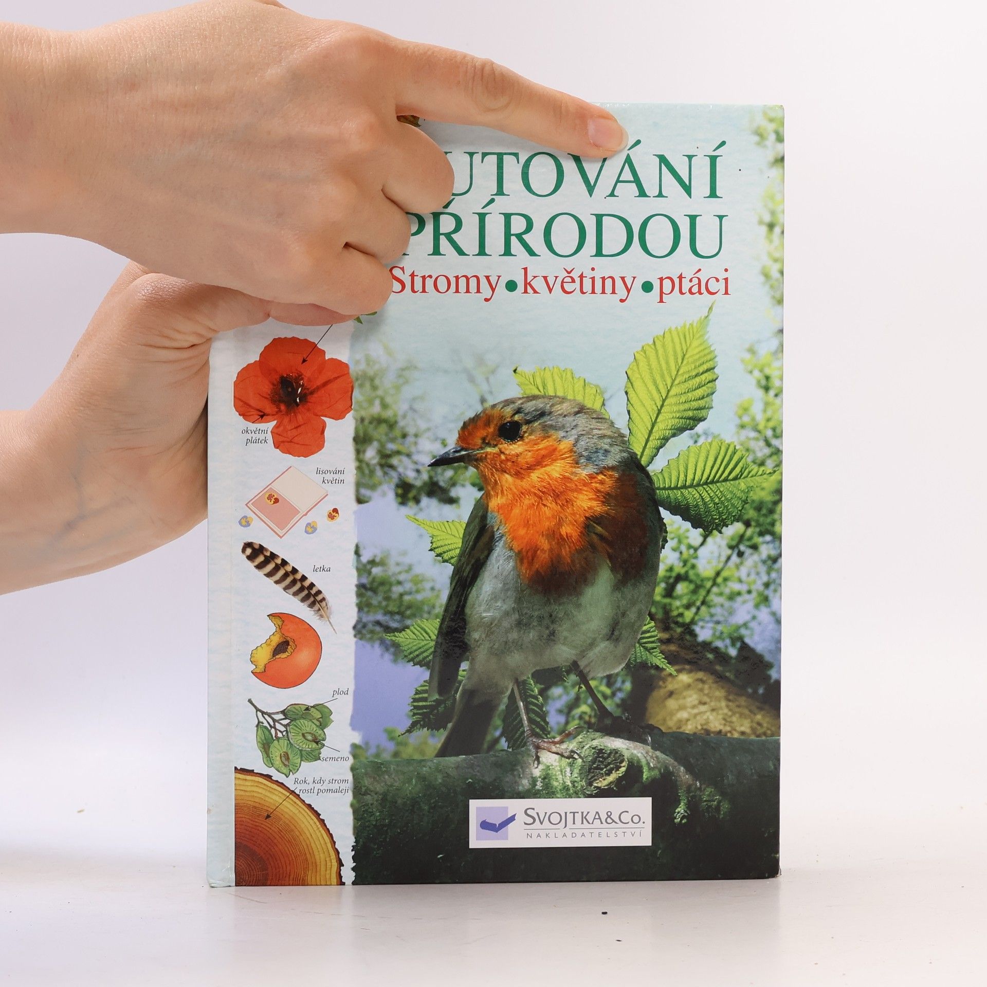 Various authors Putování přírodou: Stromy, květiny, ptáci