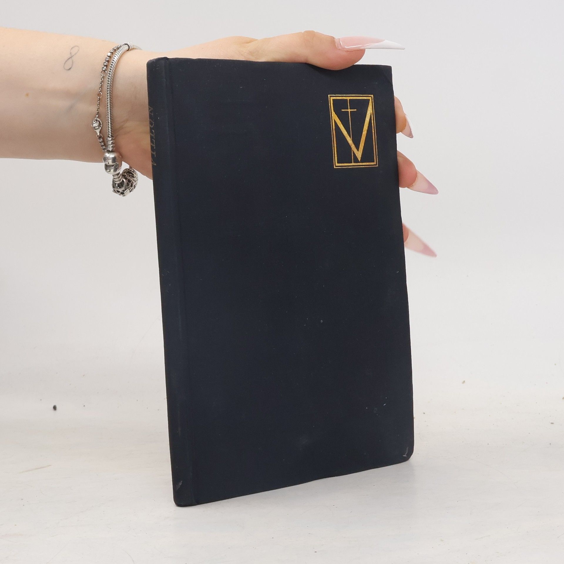 Prokletí básníci Sv. 1. Villon