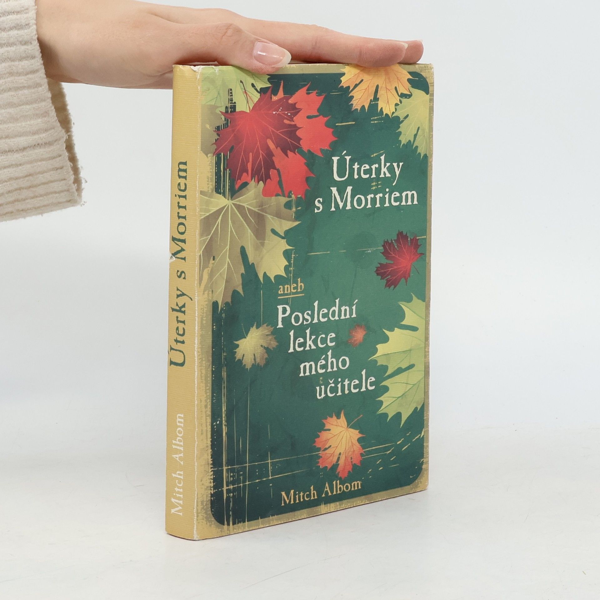 Mitch Albom Úterky s Morriem