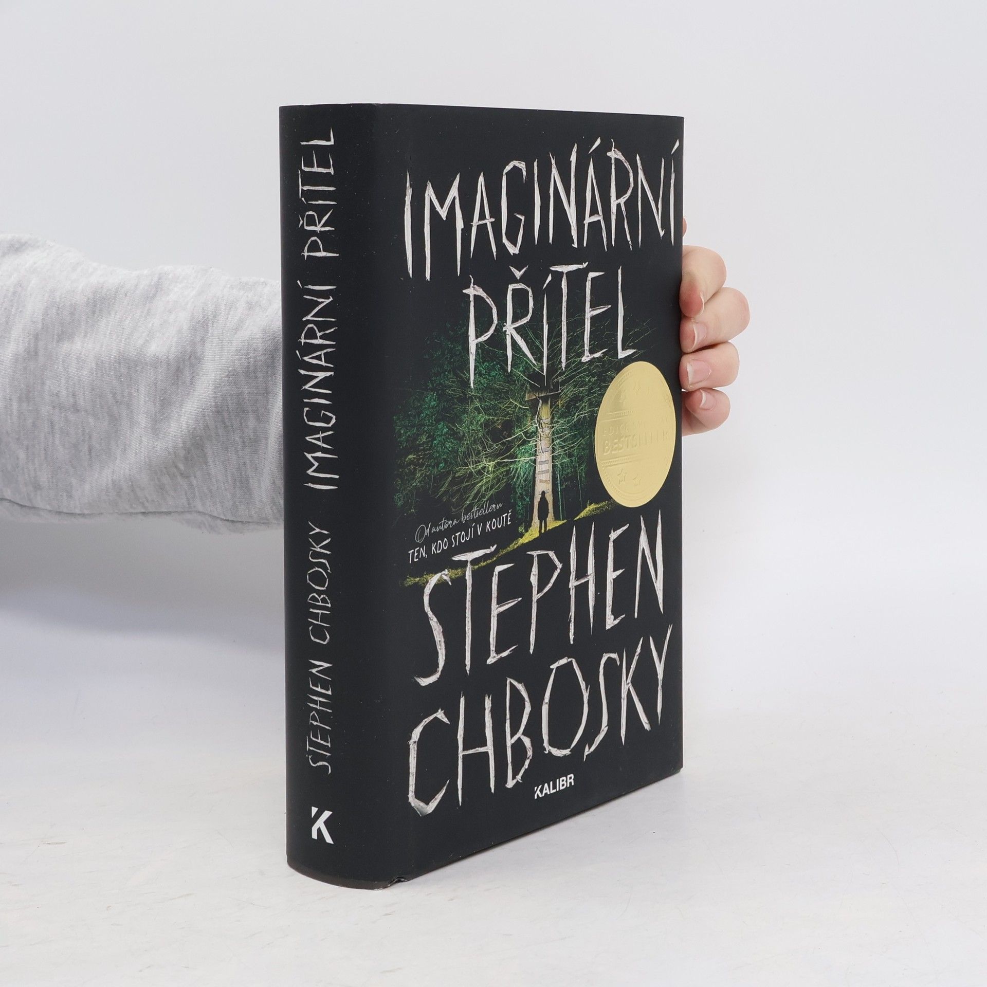 Stephen Chbosky Imaginární přítel