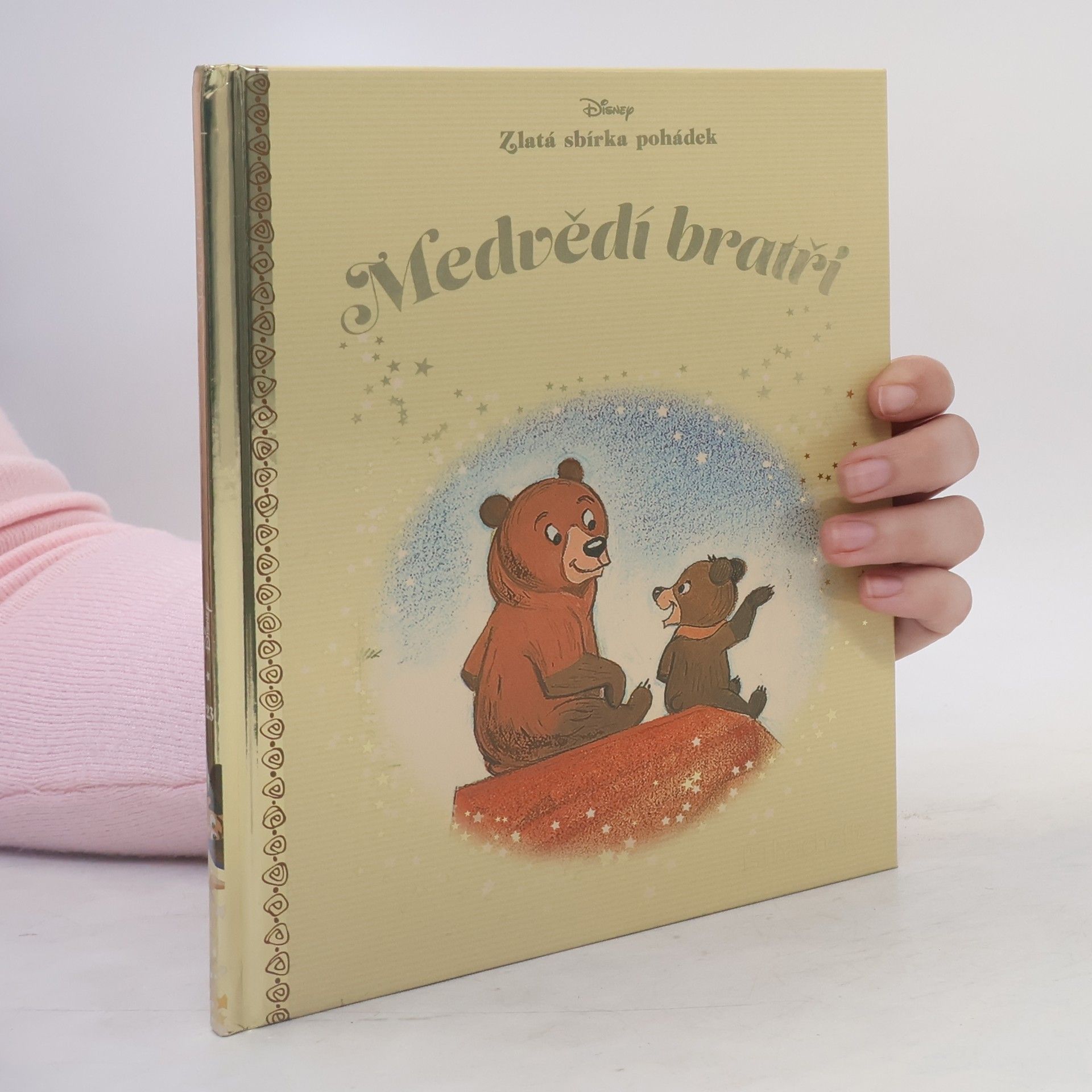 Kolektiv autorů Medvědí bratři