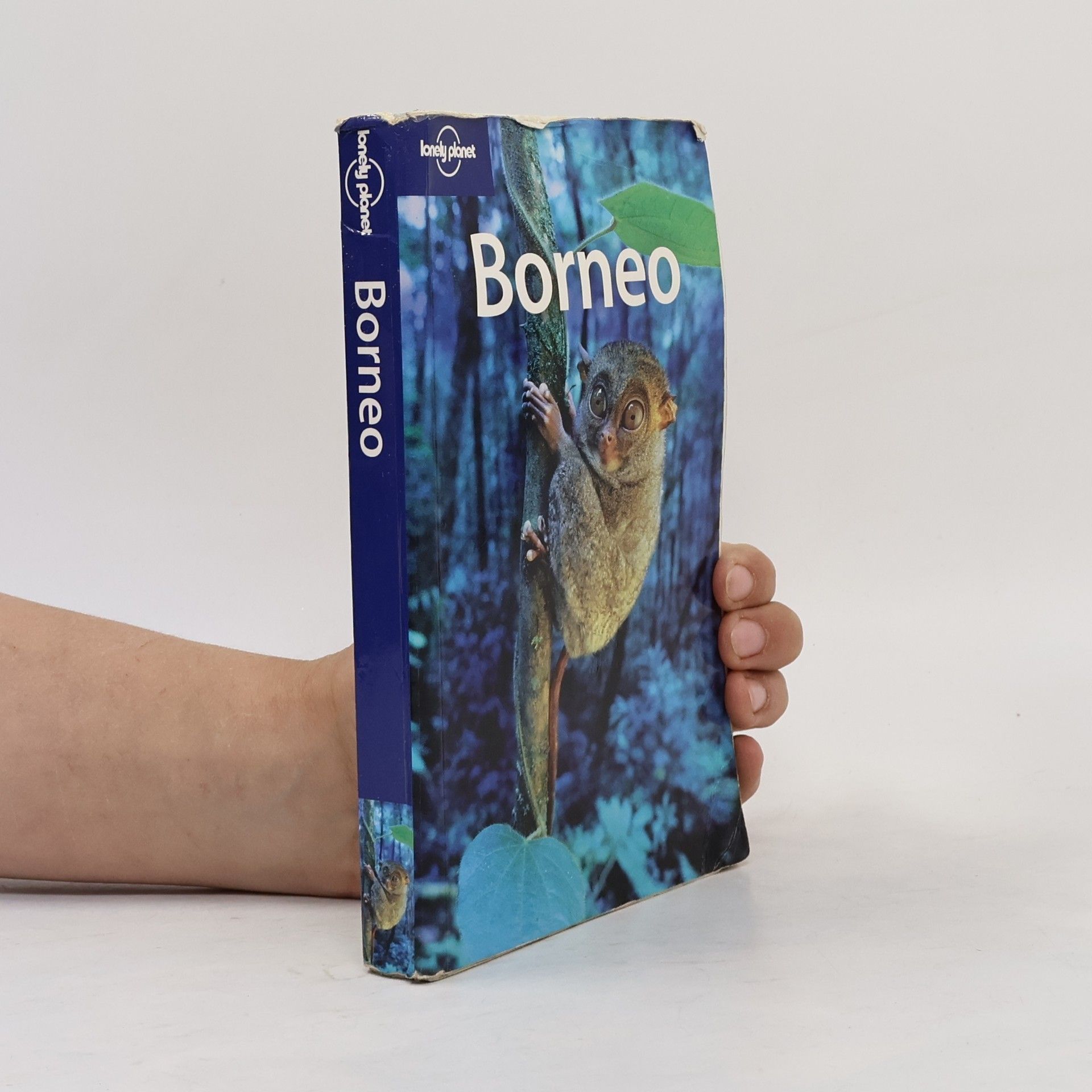 Muhammad Cohen Borneo