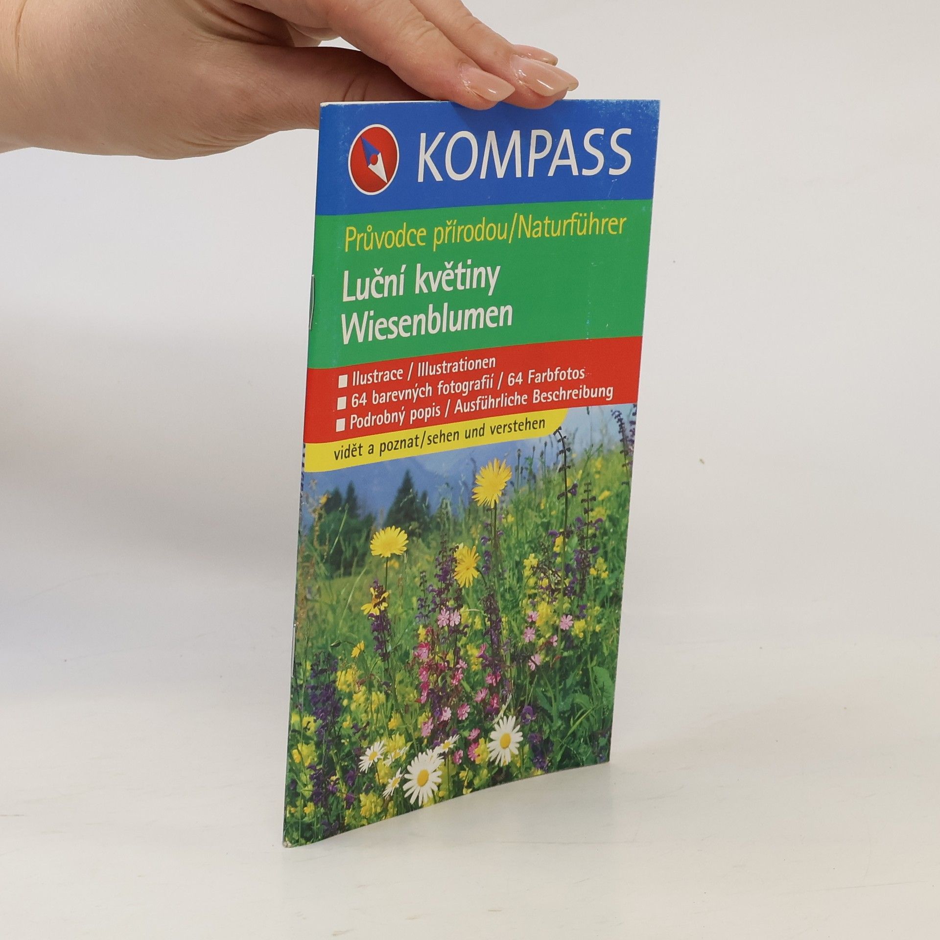 Kolektív autorov Luční květiny : Wiesenblumen
