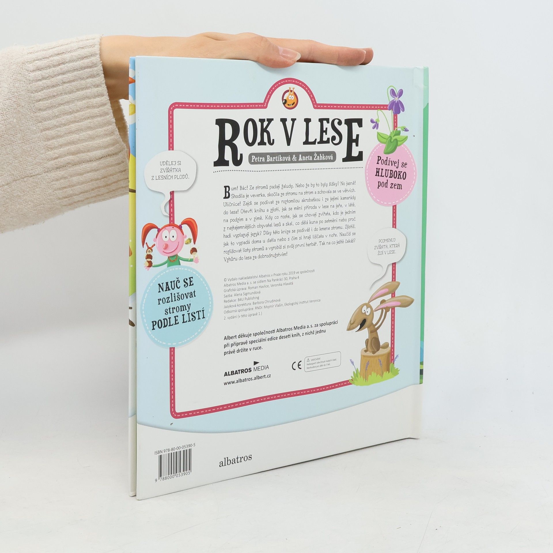 Autorenkollektiv Rok v lese