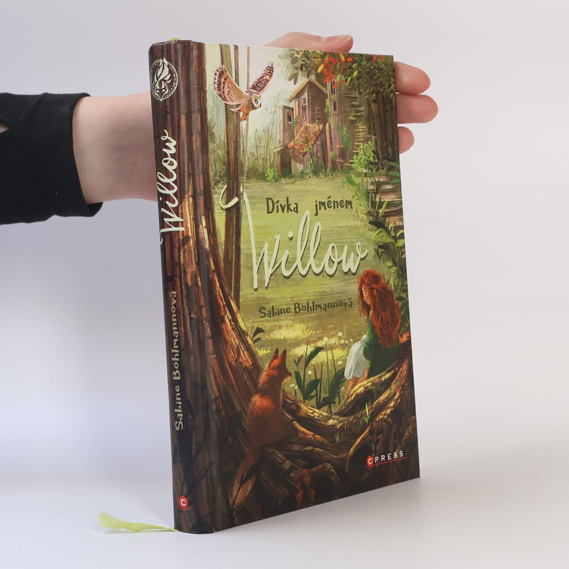 Sabine Bohlmann Dívka jménem Willow