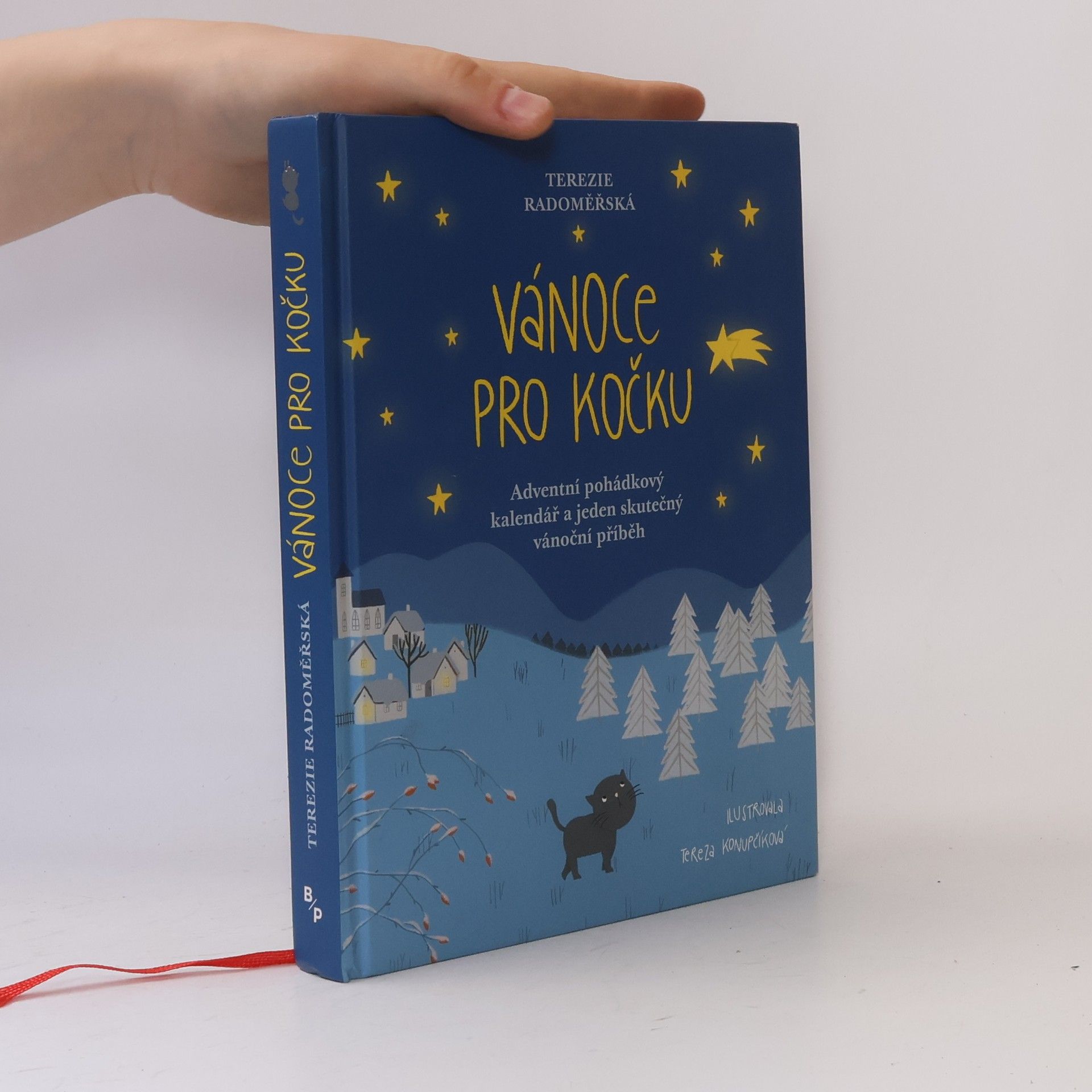 Terezie Radoměřská Vánoce pro kočku