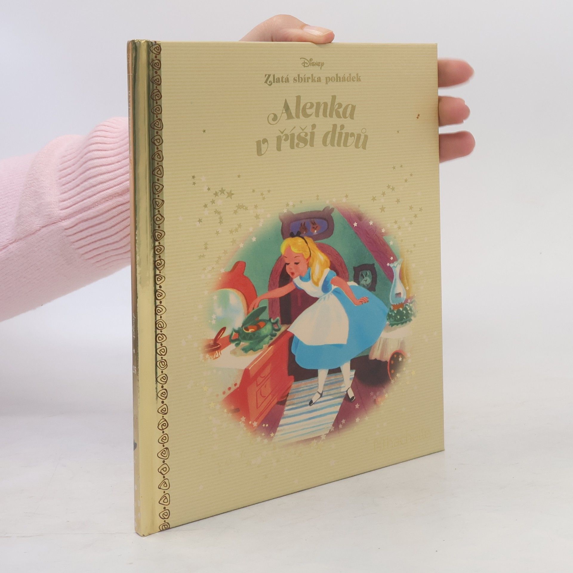 Autorenkollektiv Alenka v říši divů