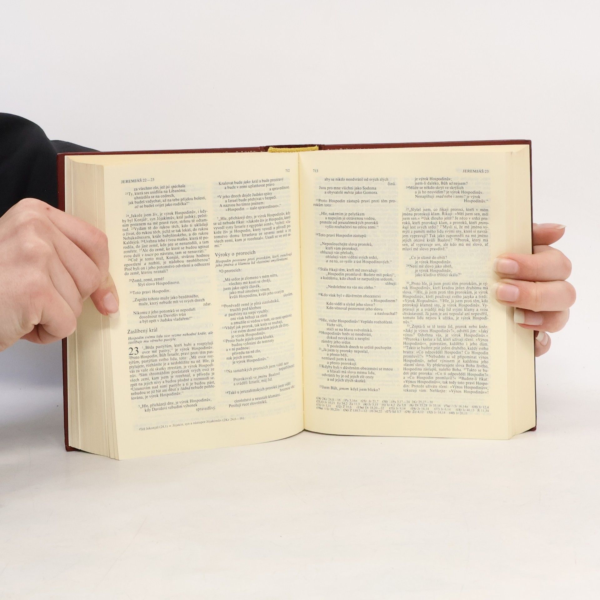 Kolektiv autorů Bible