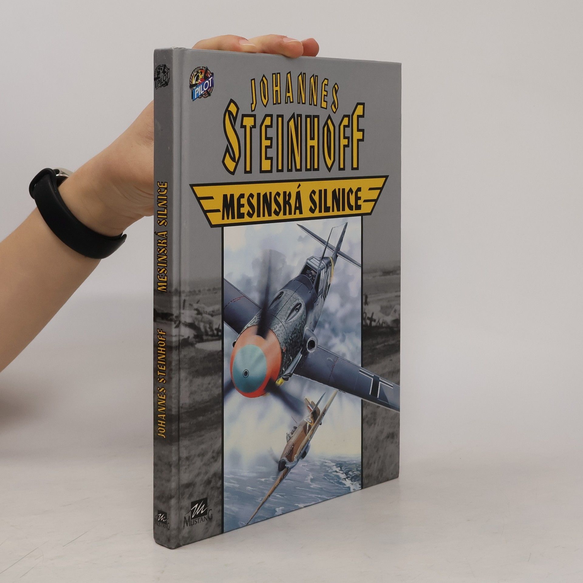 Johannes Steinhoff Mesinská silnice