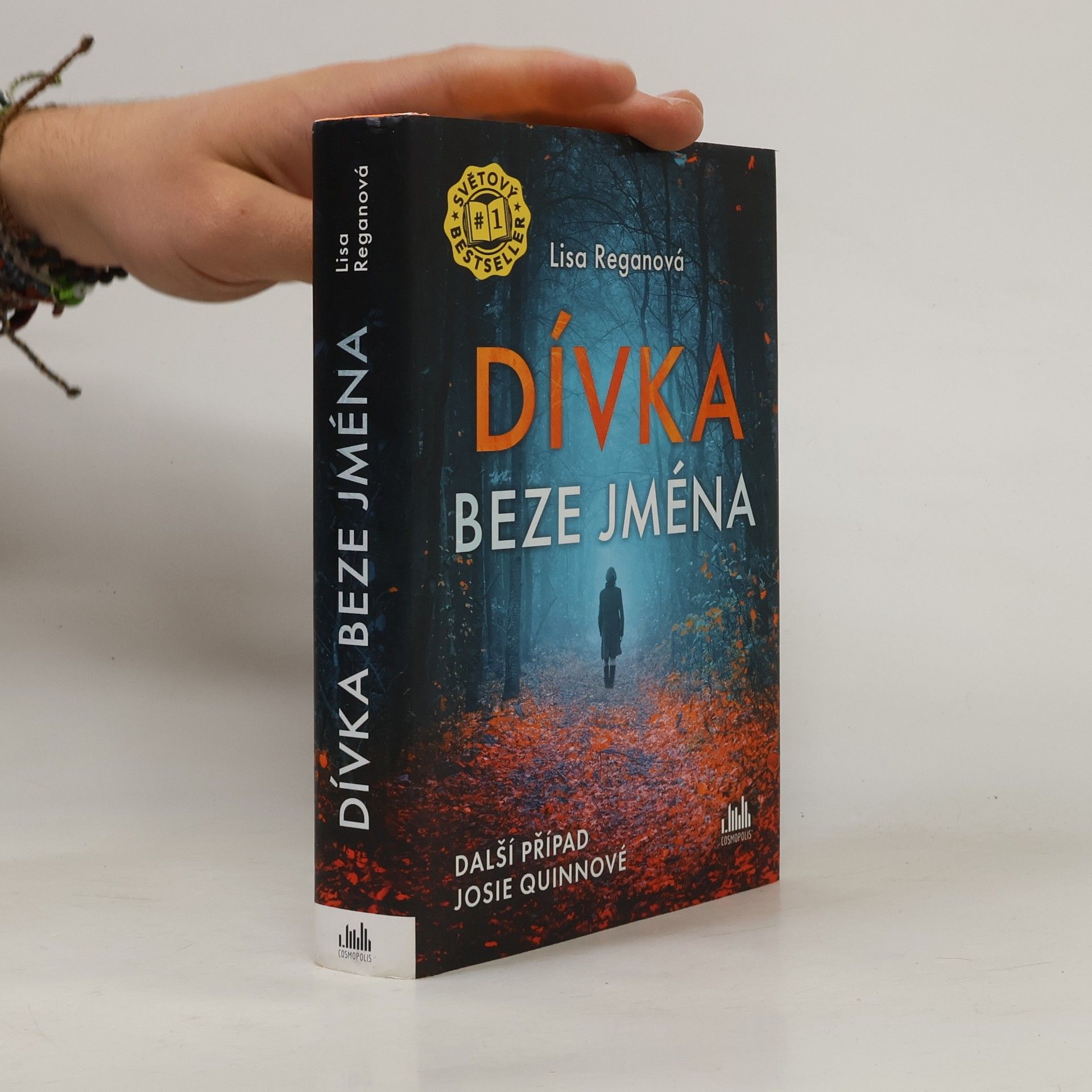 Lisa Regan Dívka beze jména: Další případ Josie Quinnové
