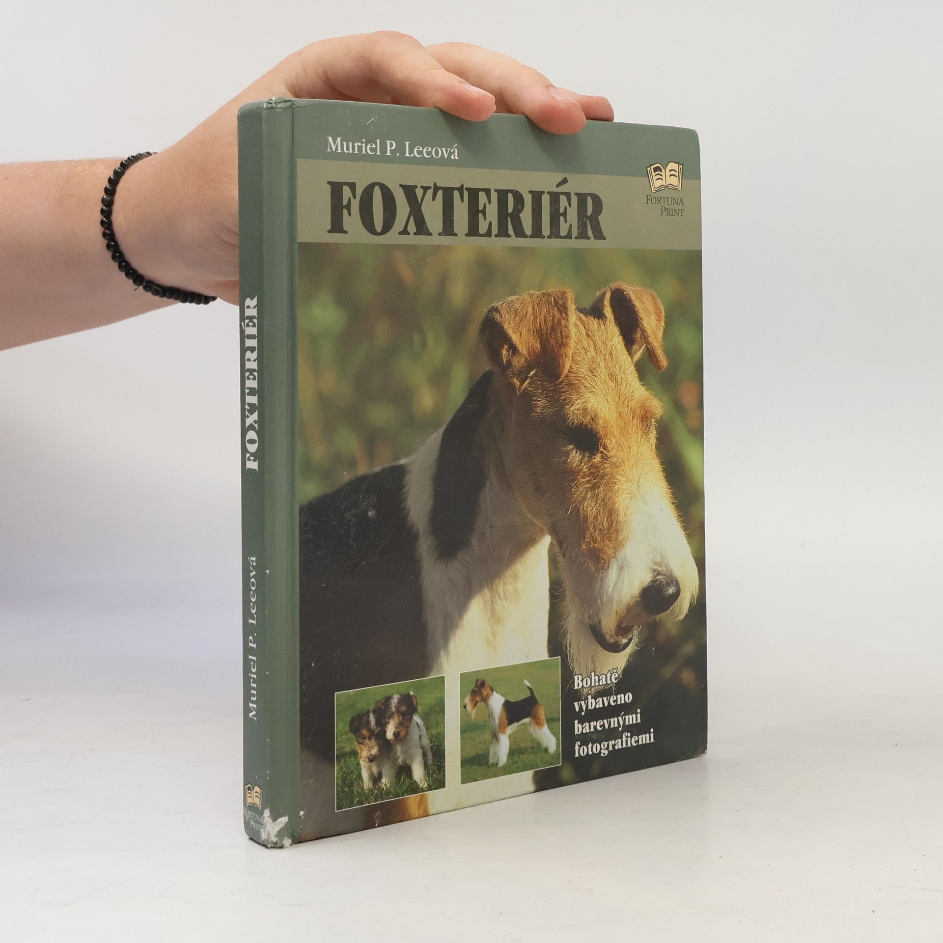 Foxteriér