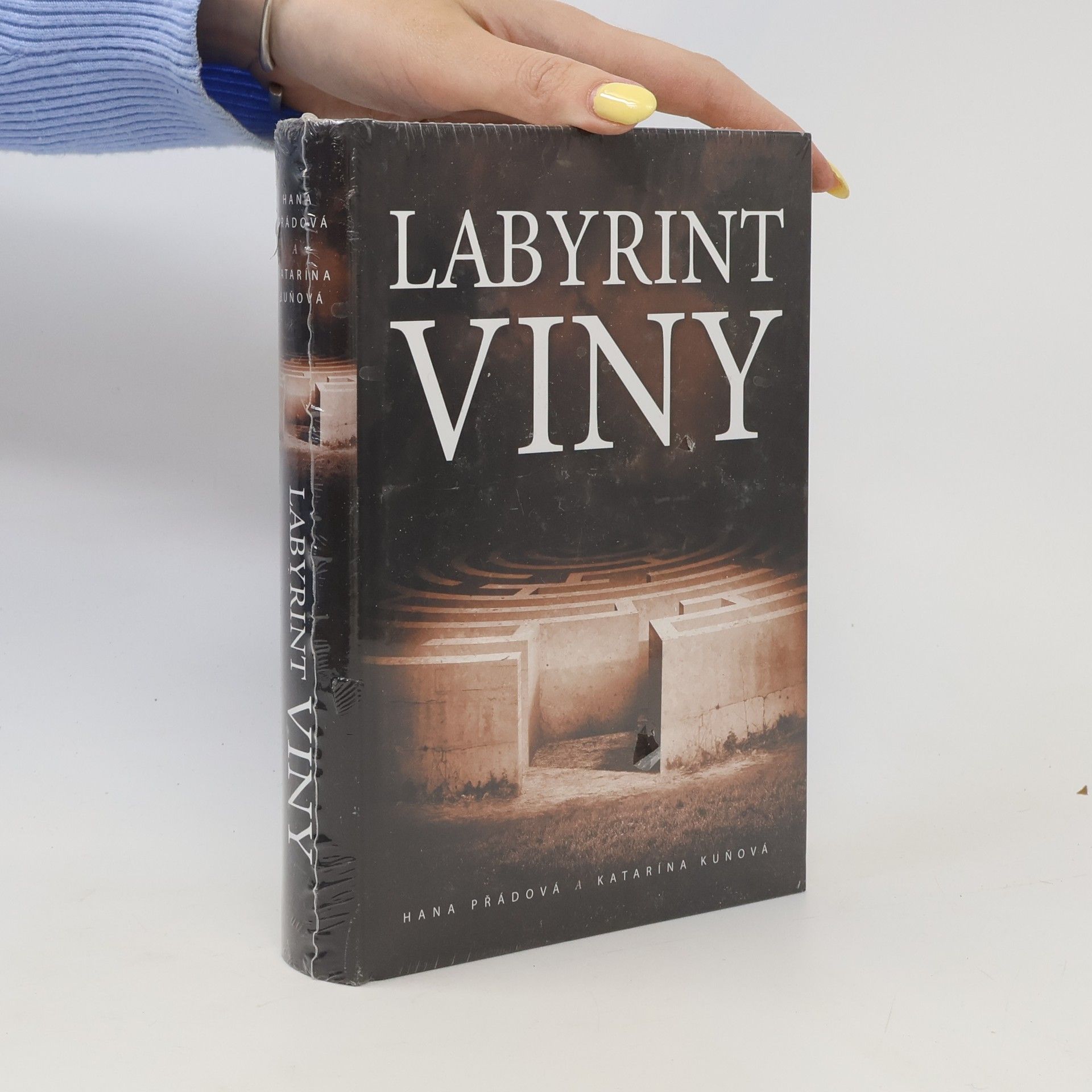 Katarína Kuňová Labyrint viny