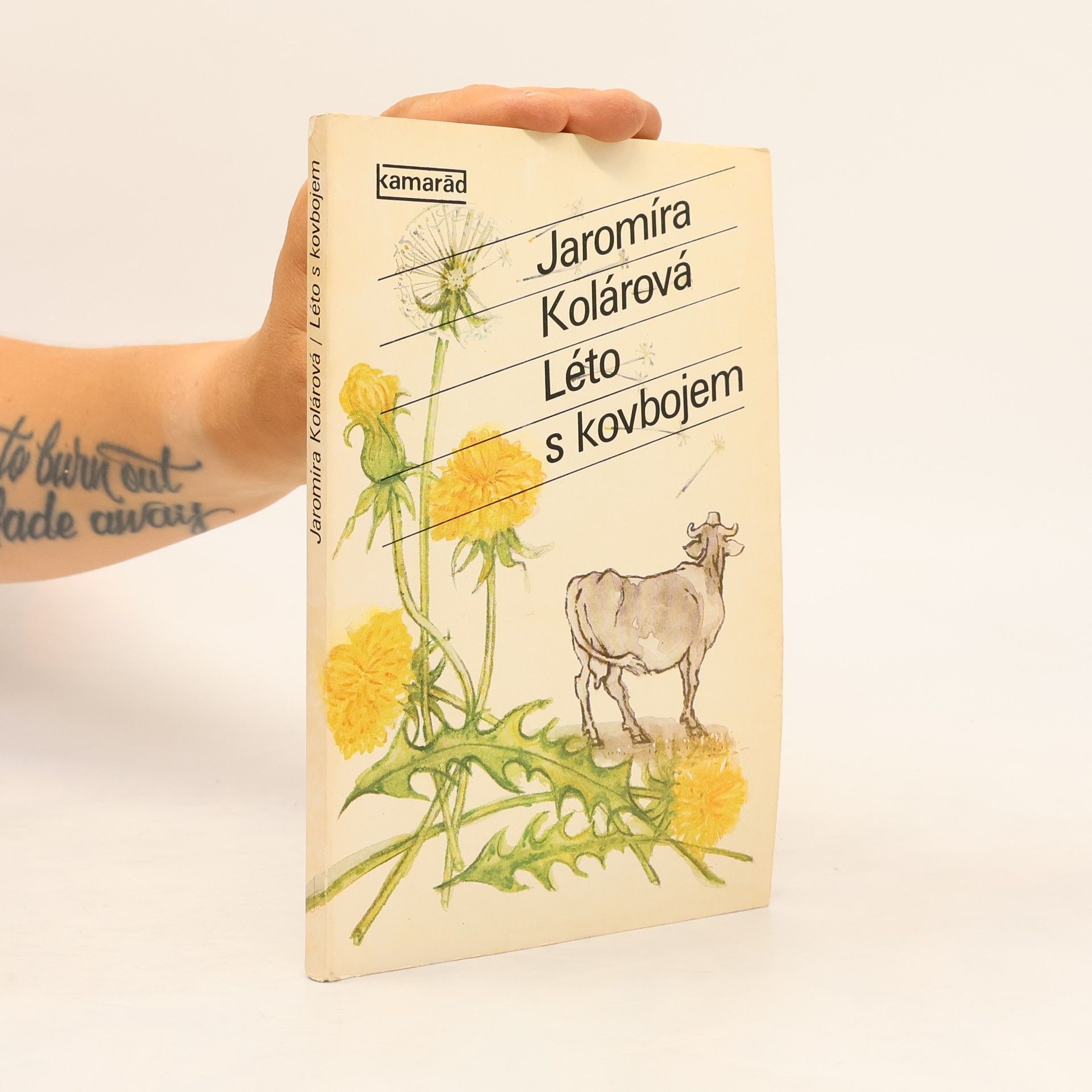 Jaromíra Kolárová Léto s kovbojem