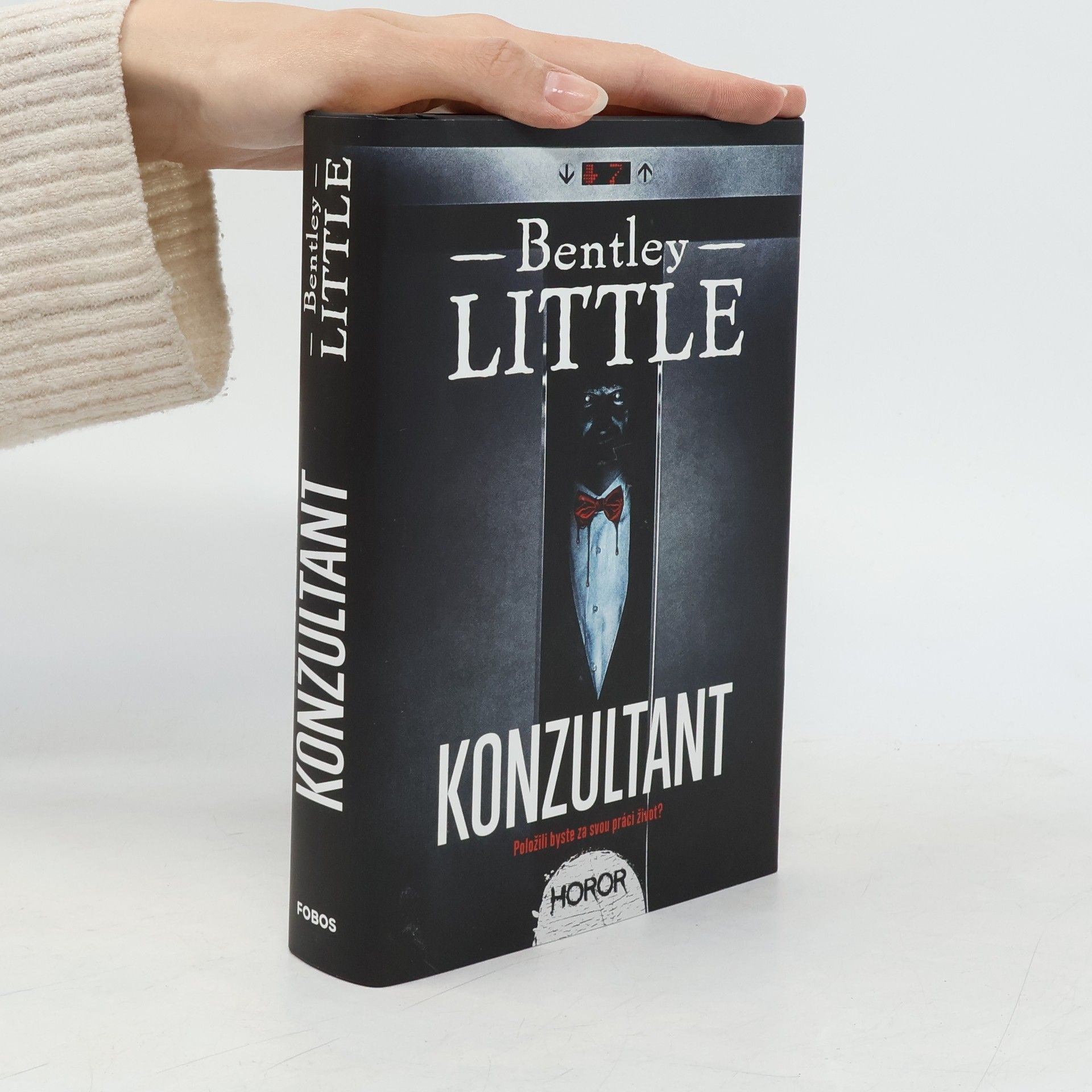 Konzultant