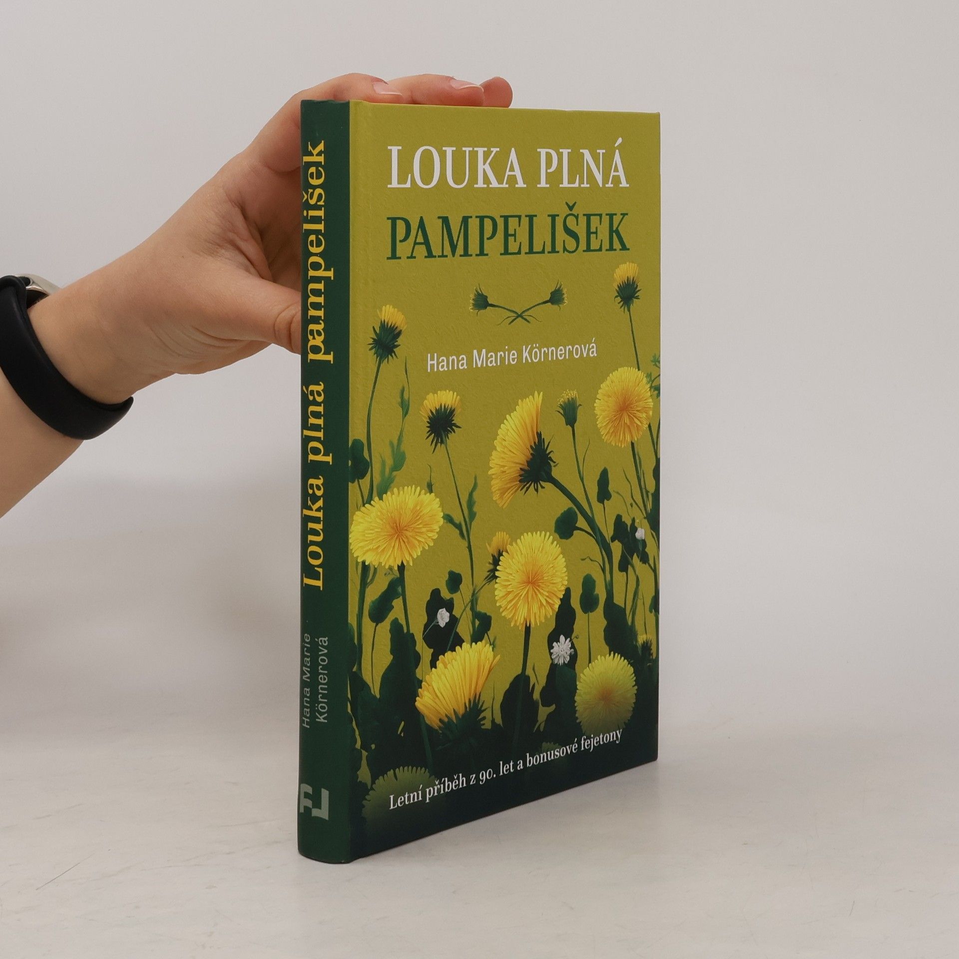 Louka plná pampelišek