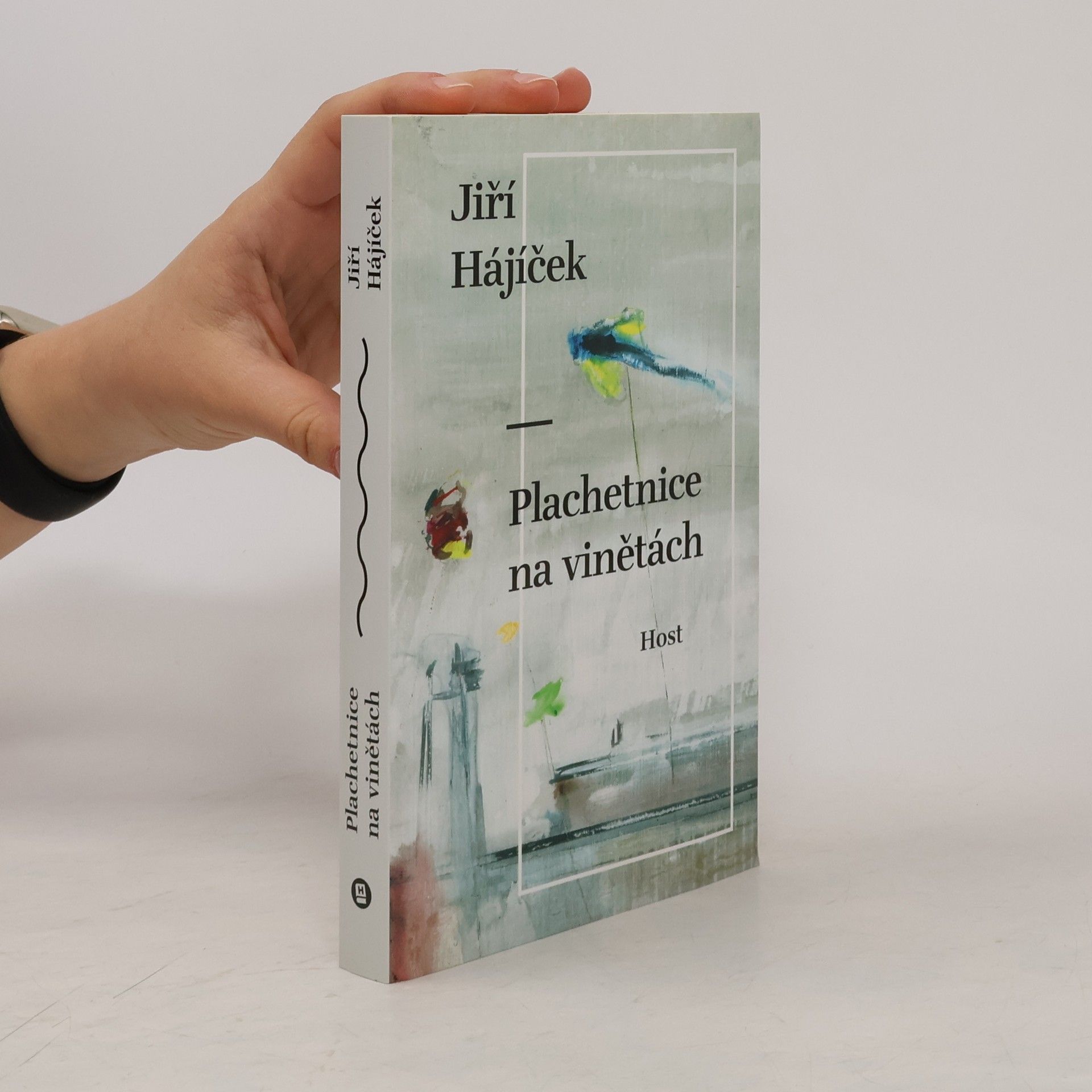 Jiří Hájíček Plachetnice na vinětách