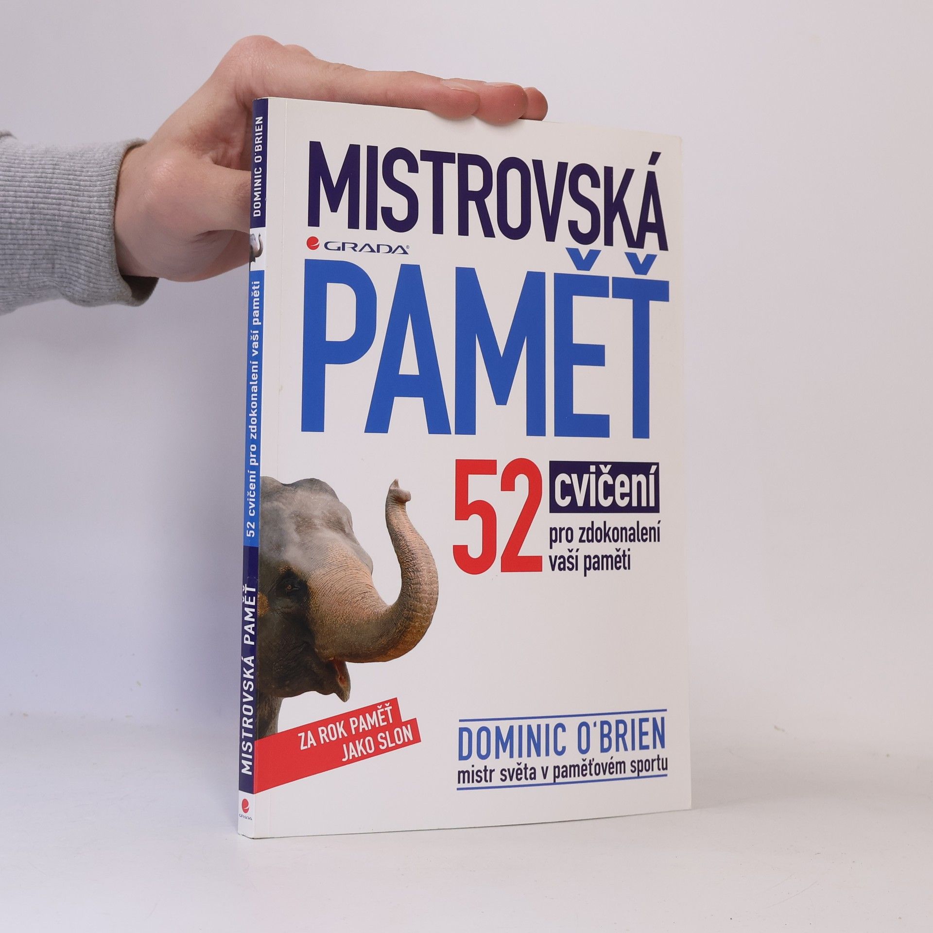 Mistrovská paměť : 52 cvičení pro zdokonalení vaší paměti