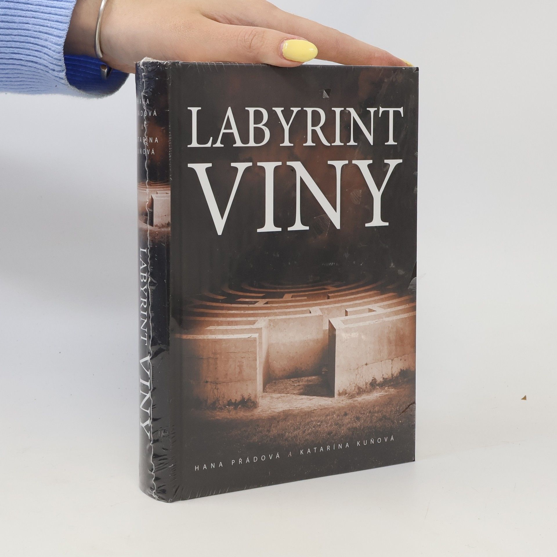 Katarína Kuňová Labyrint viny