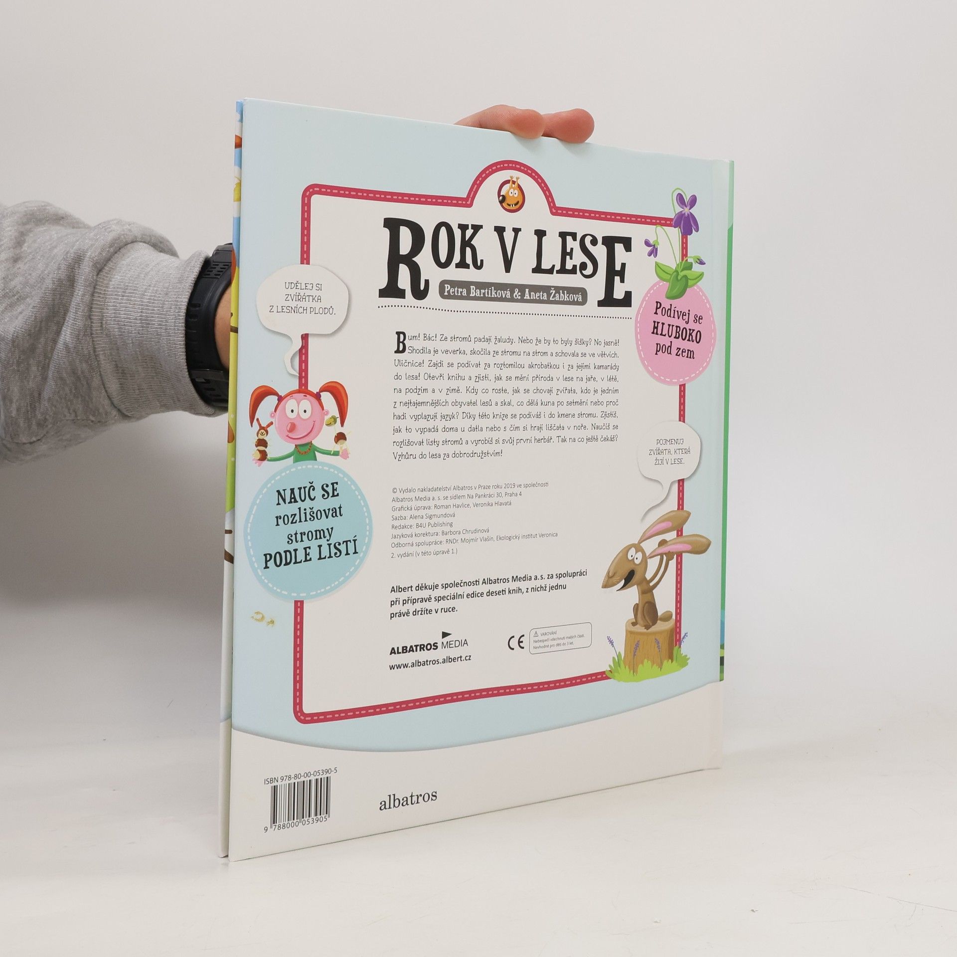 Autorenkollektiv Rok v lese